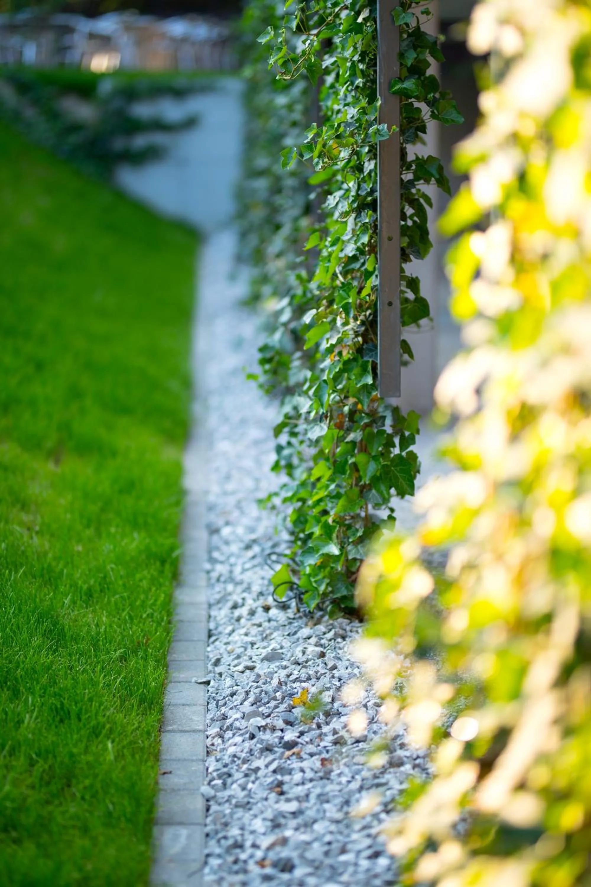 Garden in Hôtel la Croix Blanche