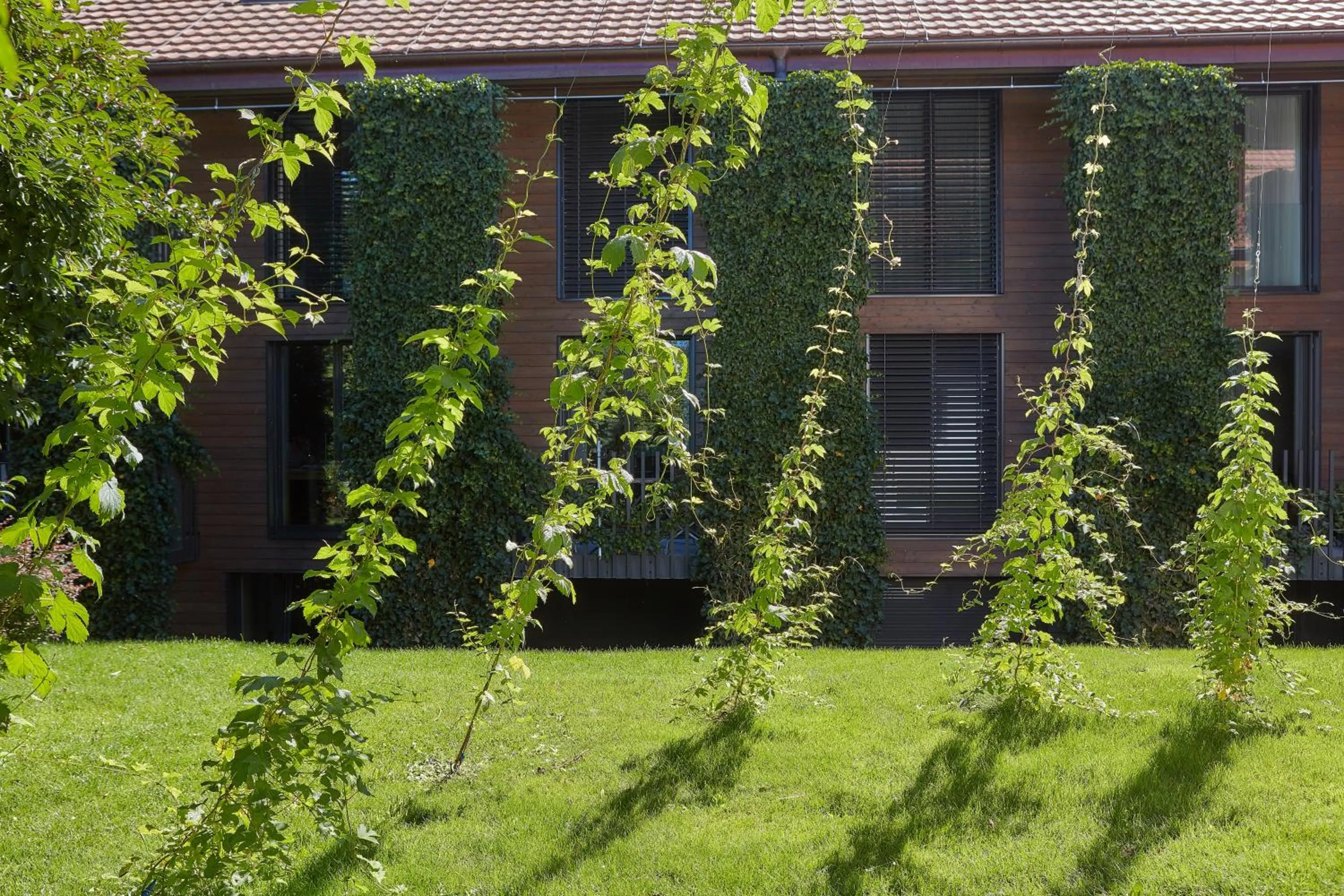 Hôtel la Croix Blanche