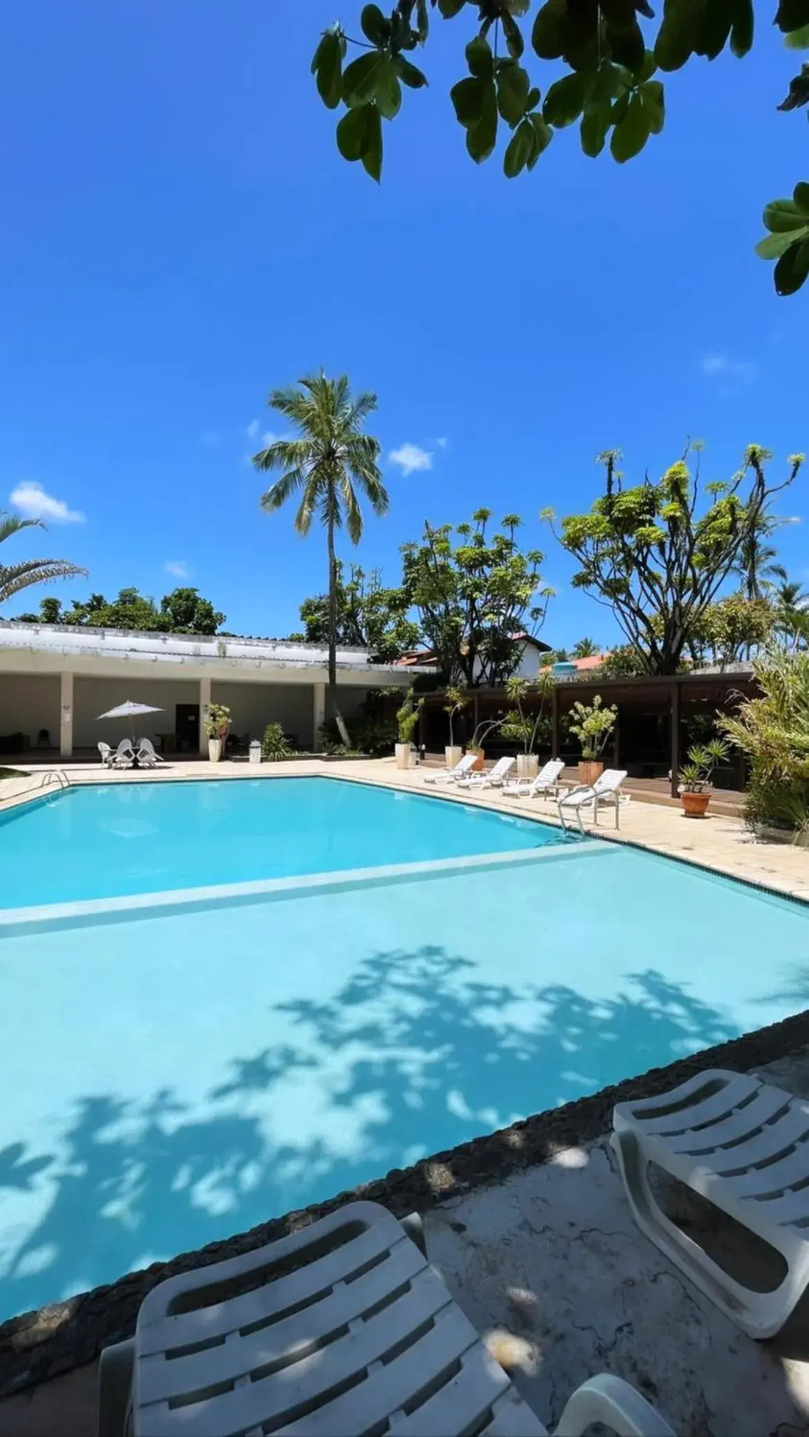 Pool view in Delphin Beach Hotel Pool view in Delphin Beach Hotel