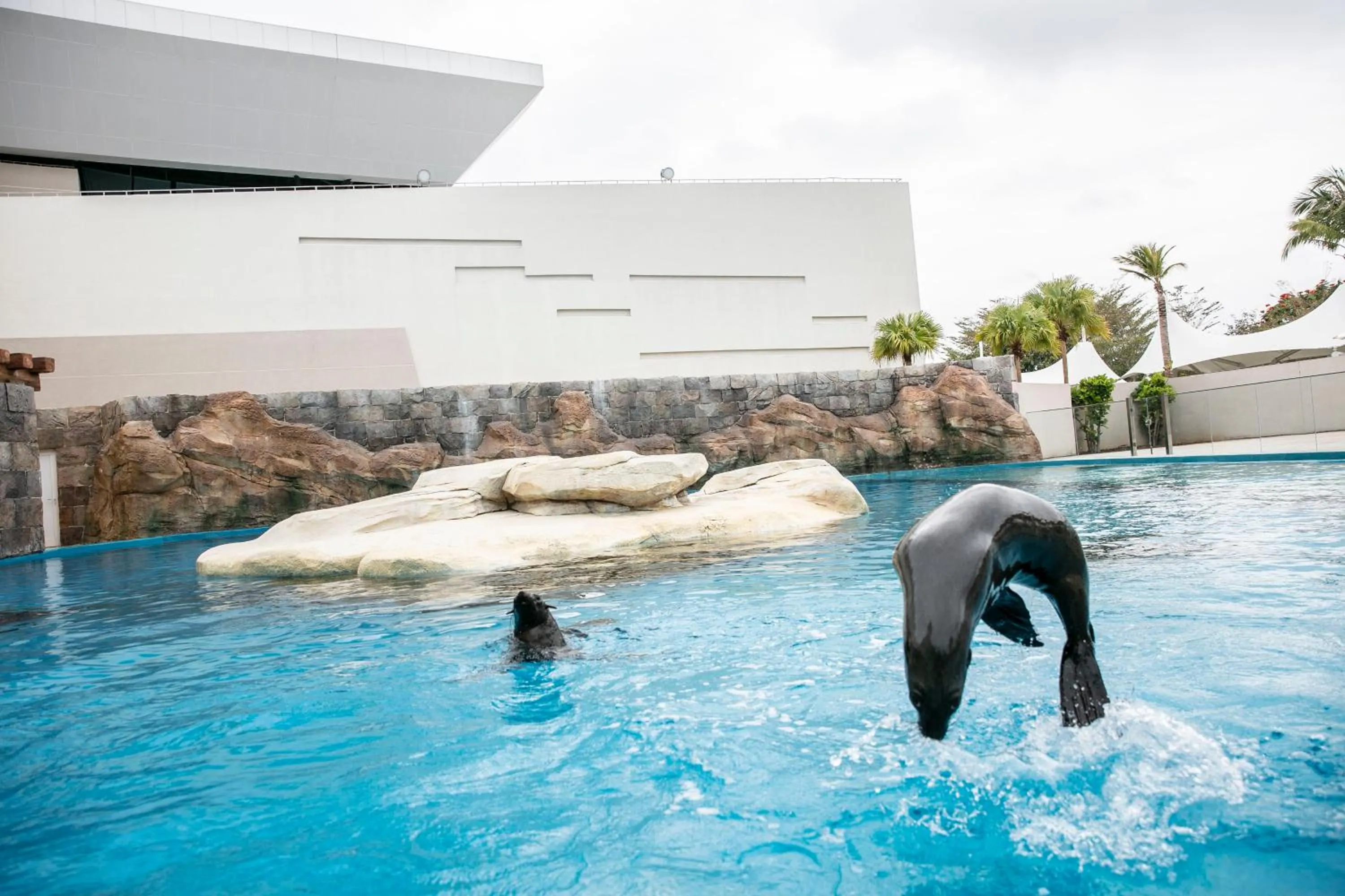 Animals in Atlantis Sanya