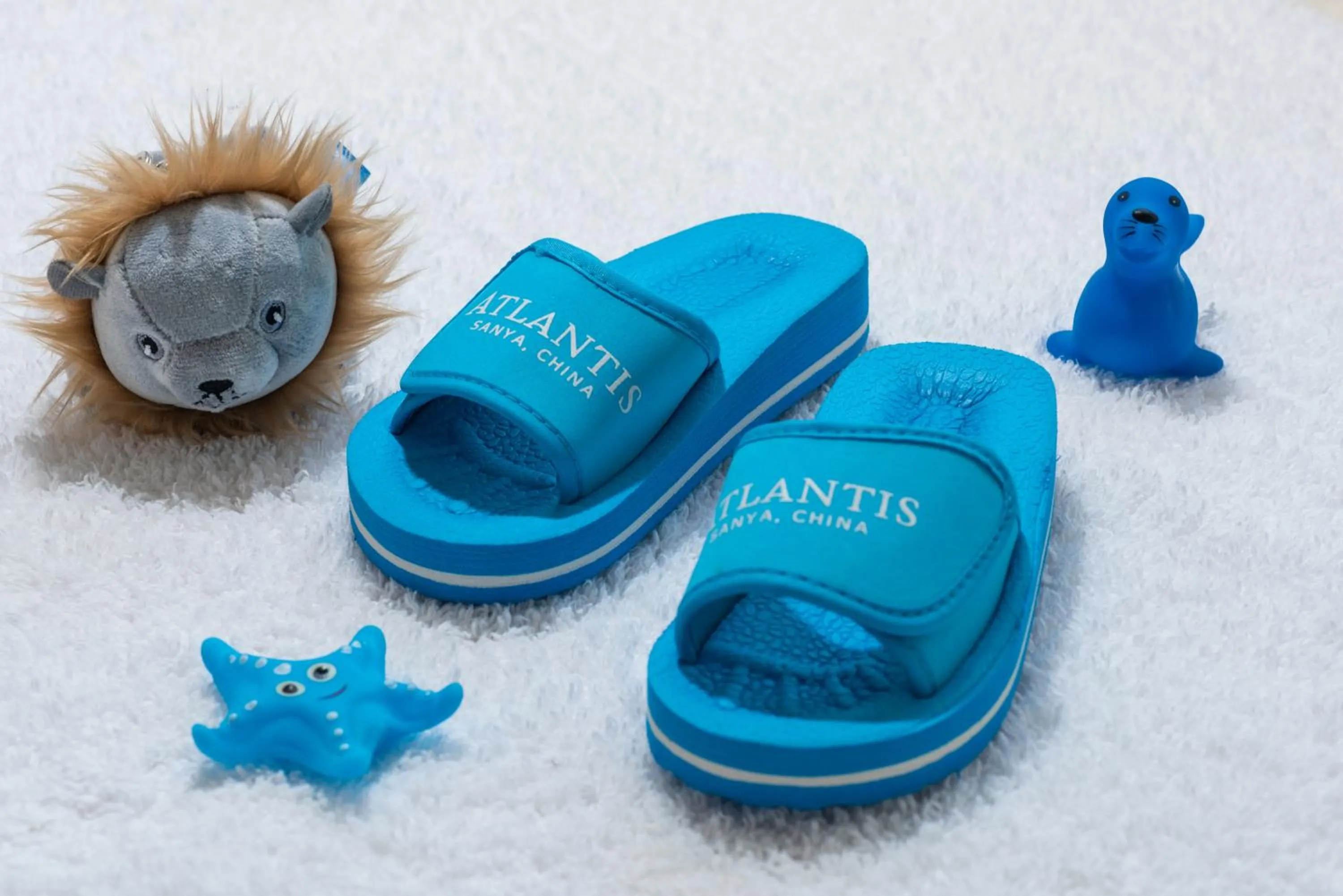 Other in Atlantis Sanya