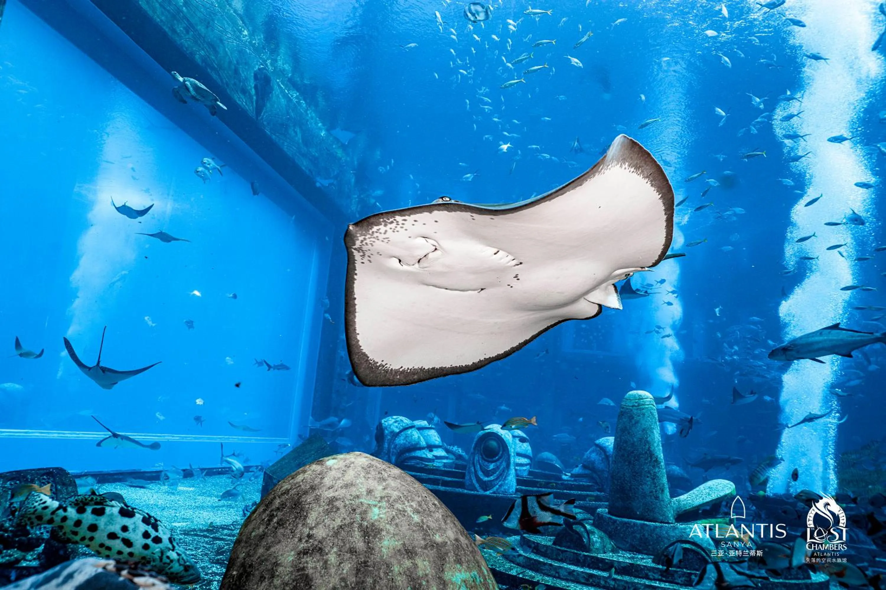 Diving in Atlantis Sanya