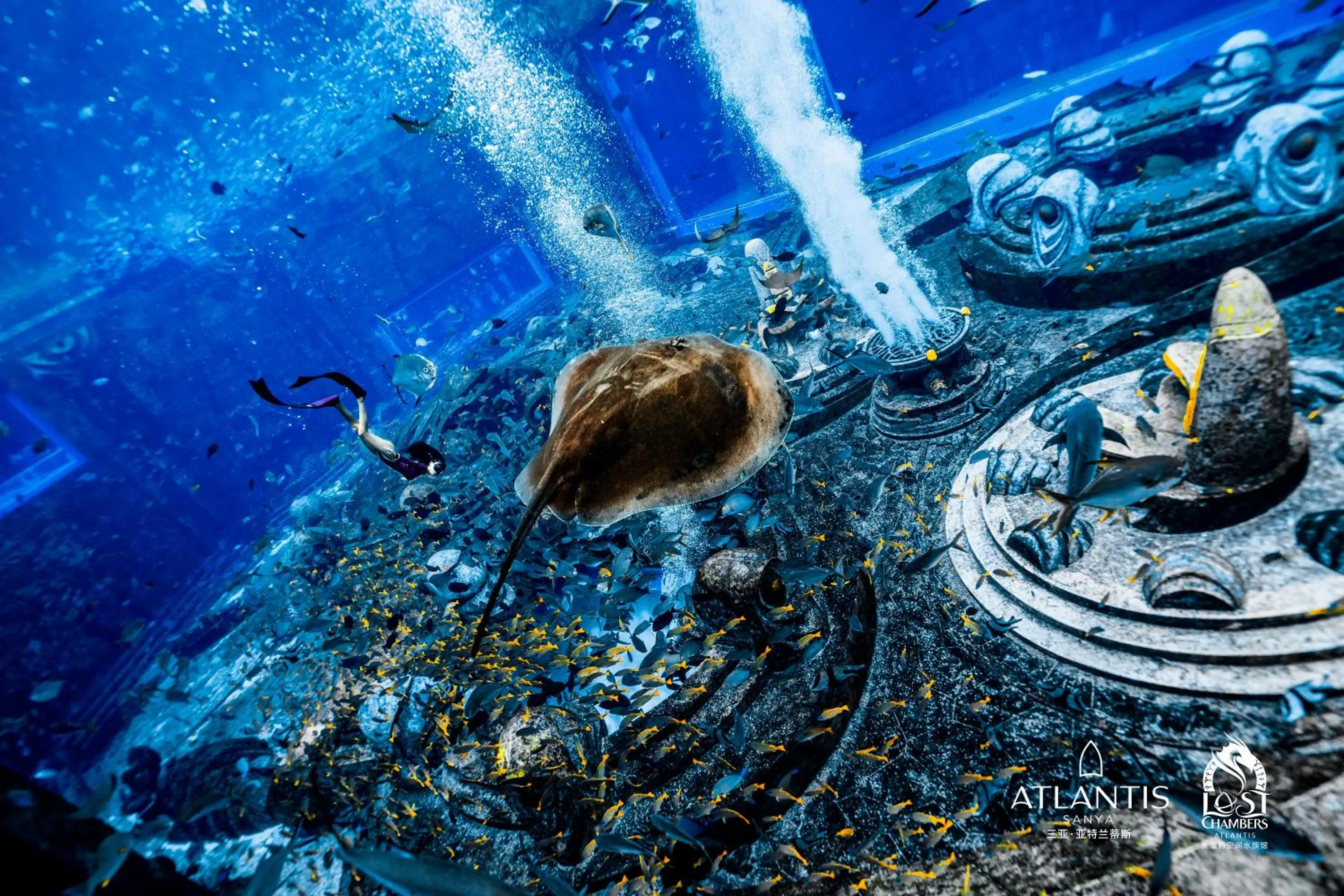 Diving in Atlantis Sanya