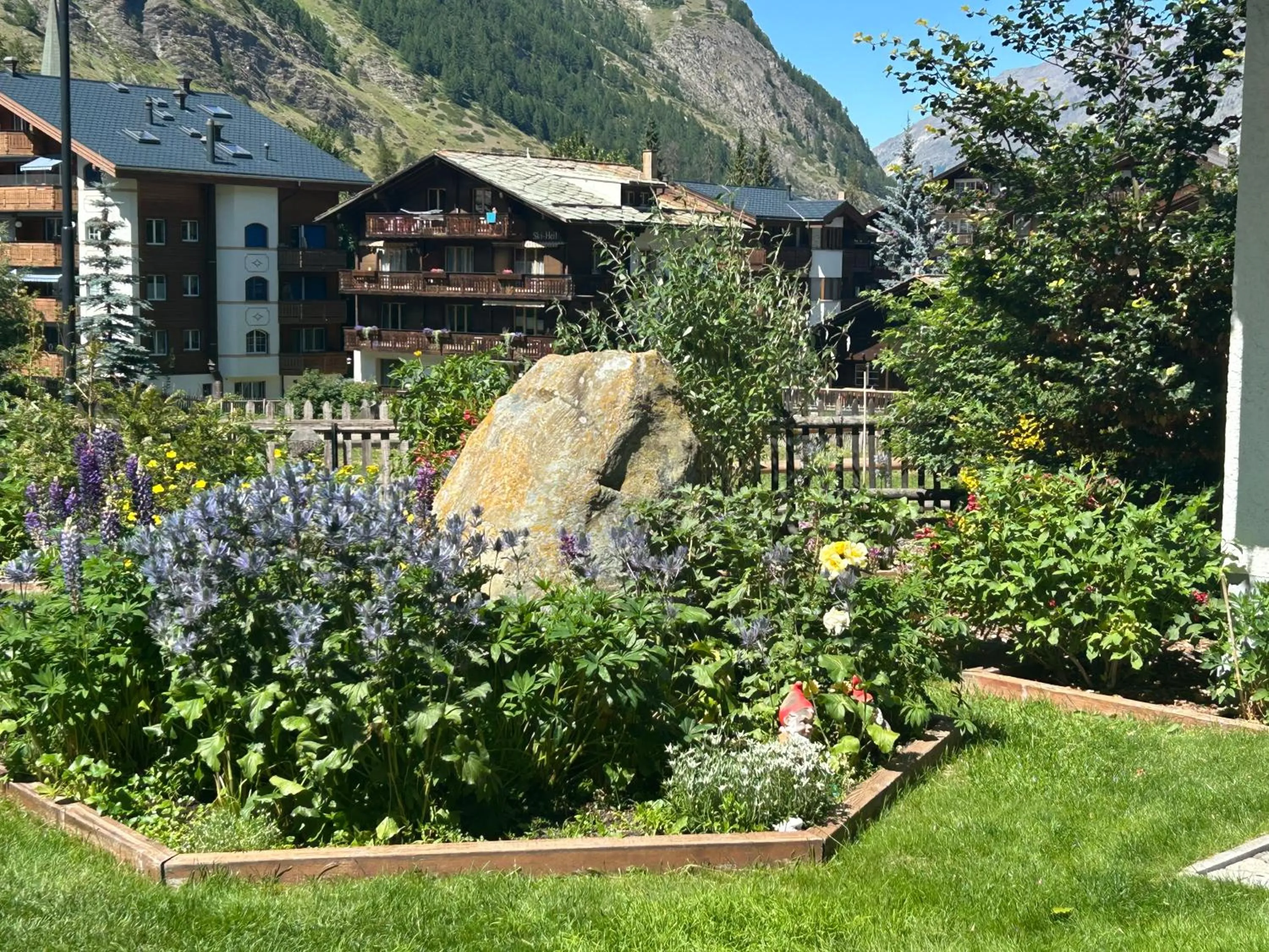 Garden in Hotel Adonis