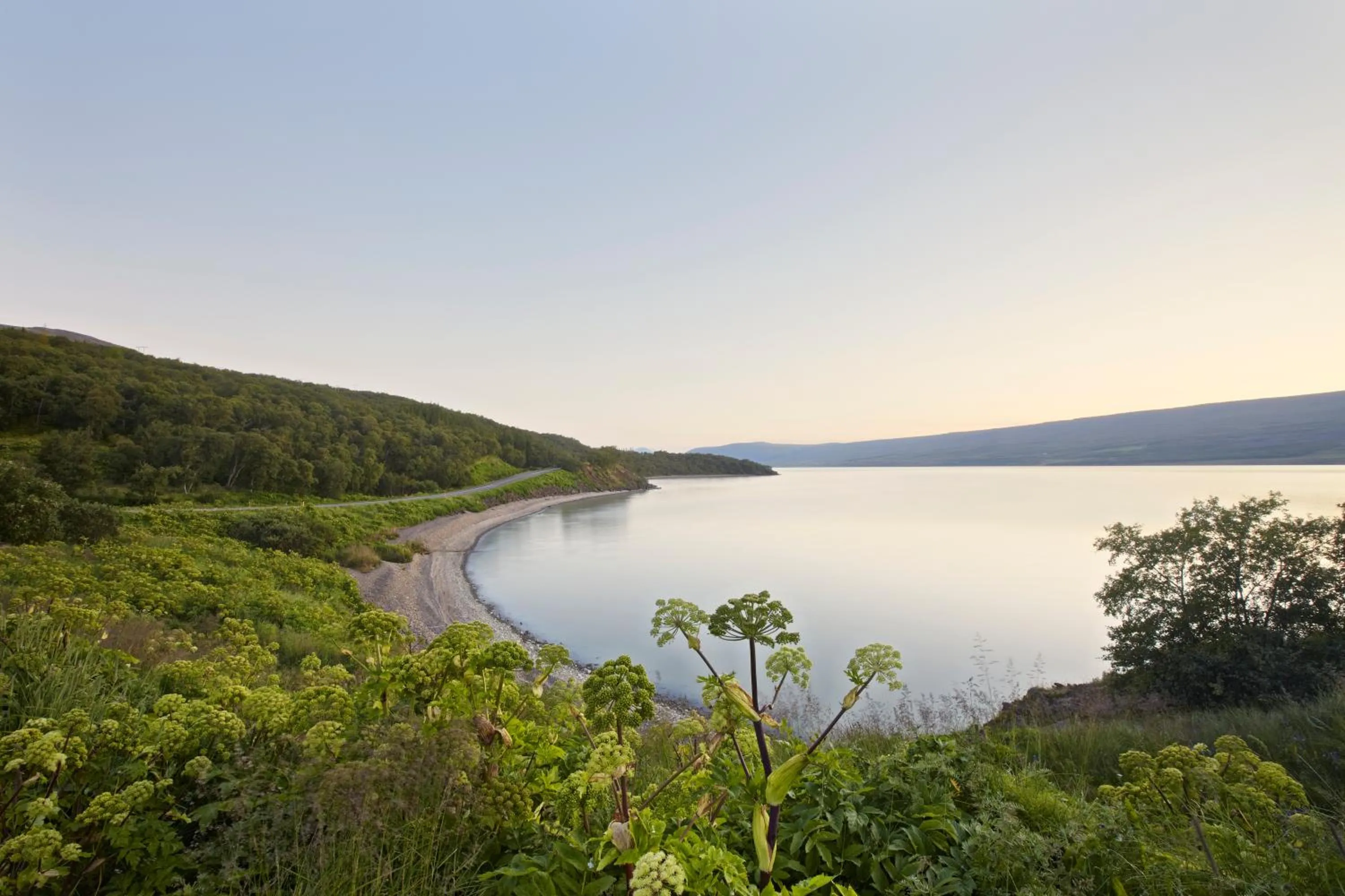 Area and facilities in Hotel Edda Egilsstadir