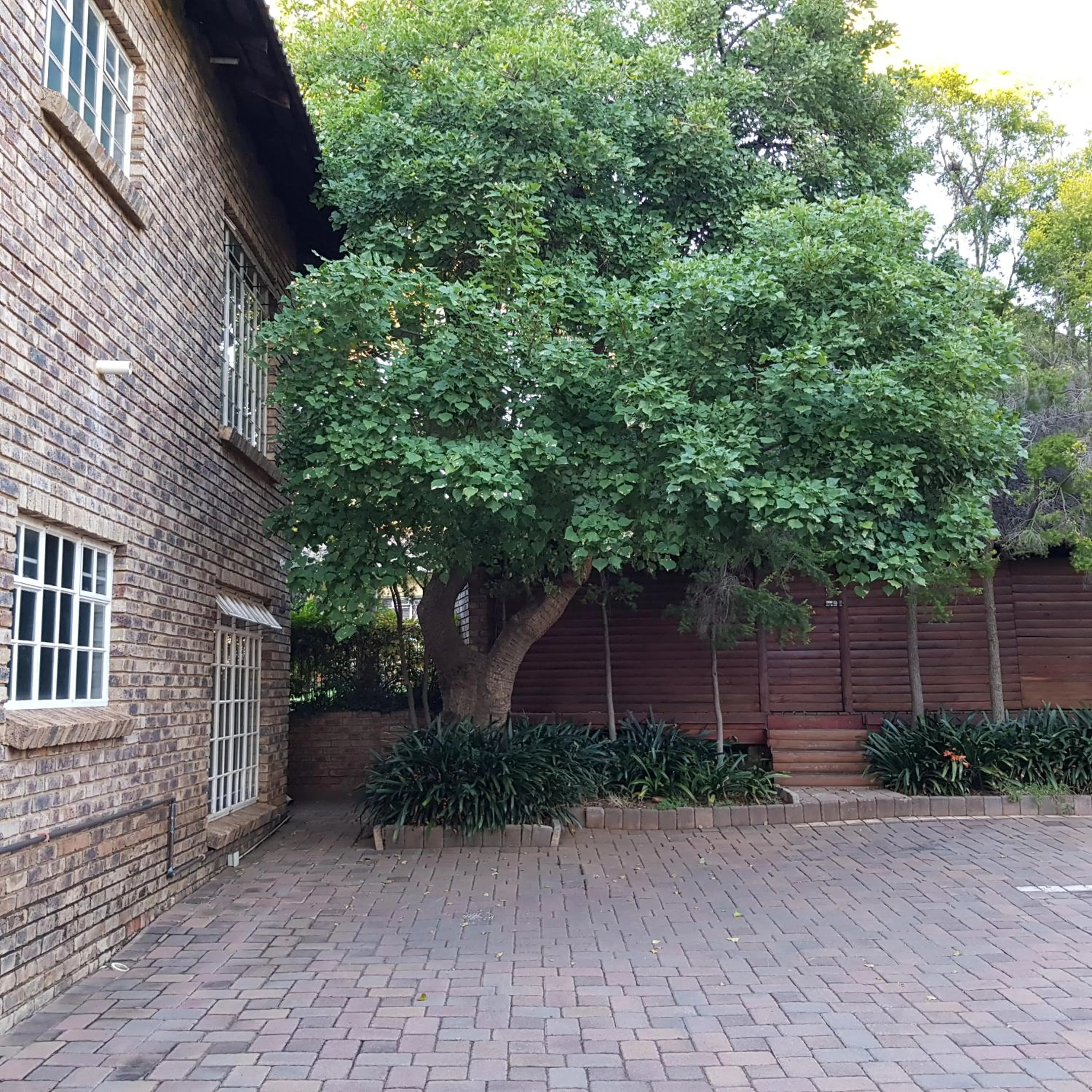 Property building in Falling Feather Inn