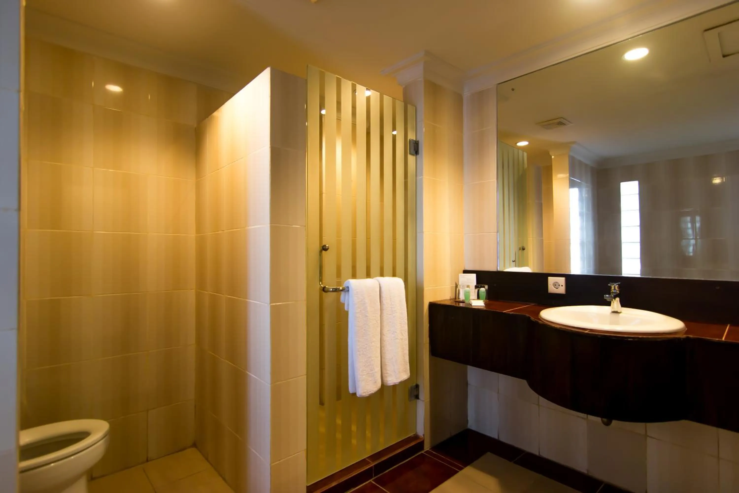 Bathroom in Champlung Mas Hotel Legian