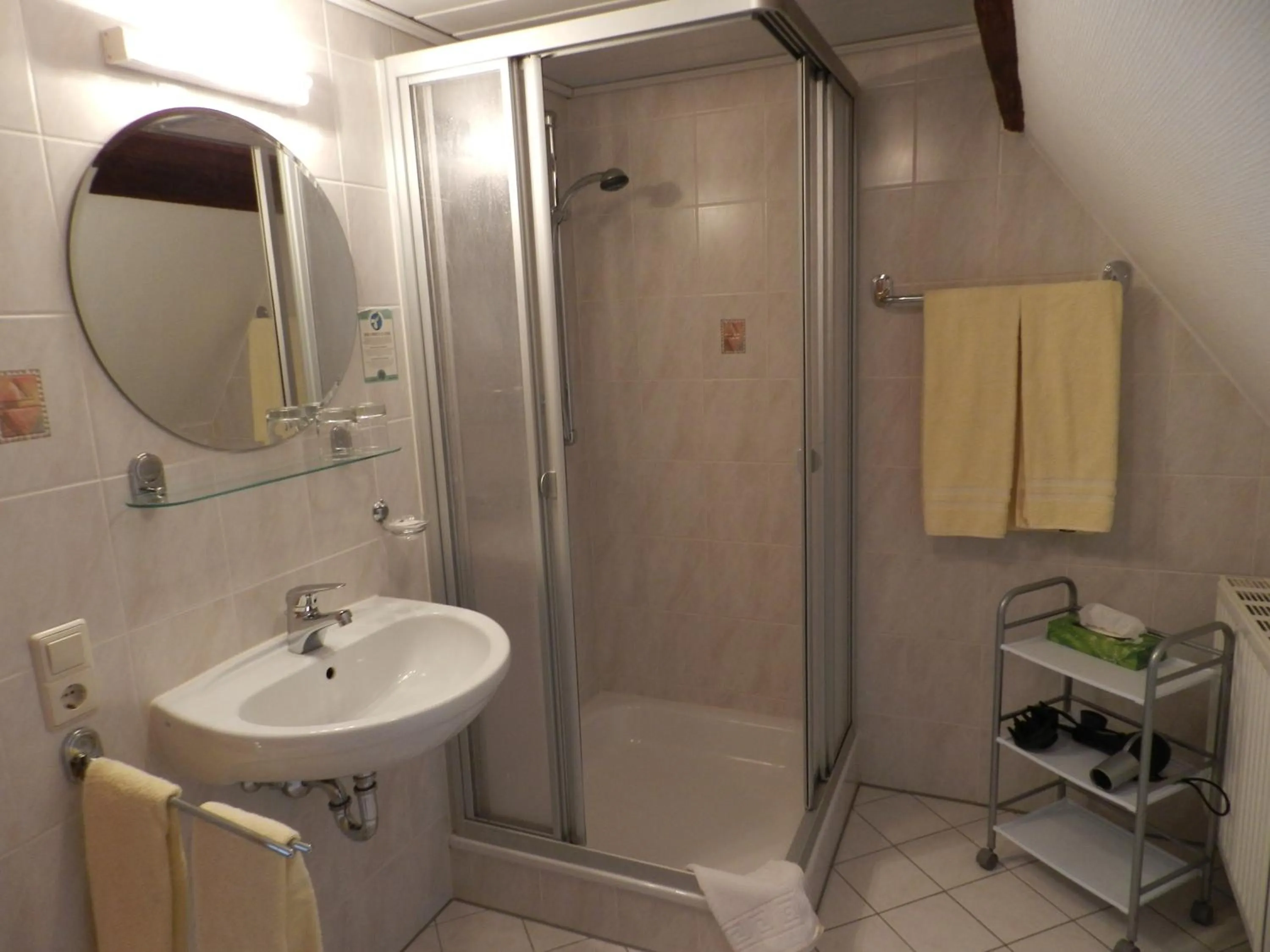 Shower in Gasthof Adler