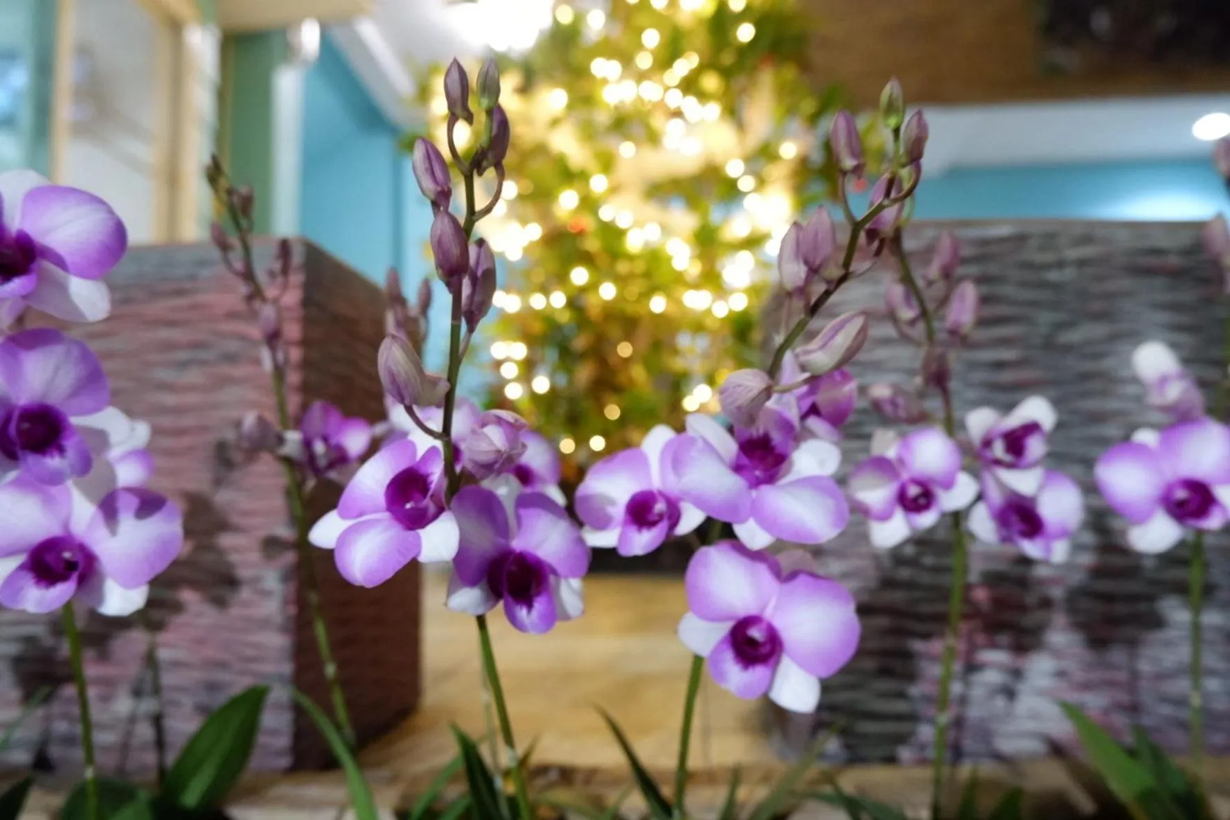 Ruen Aiyara Apartment