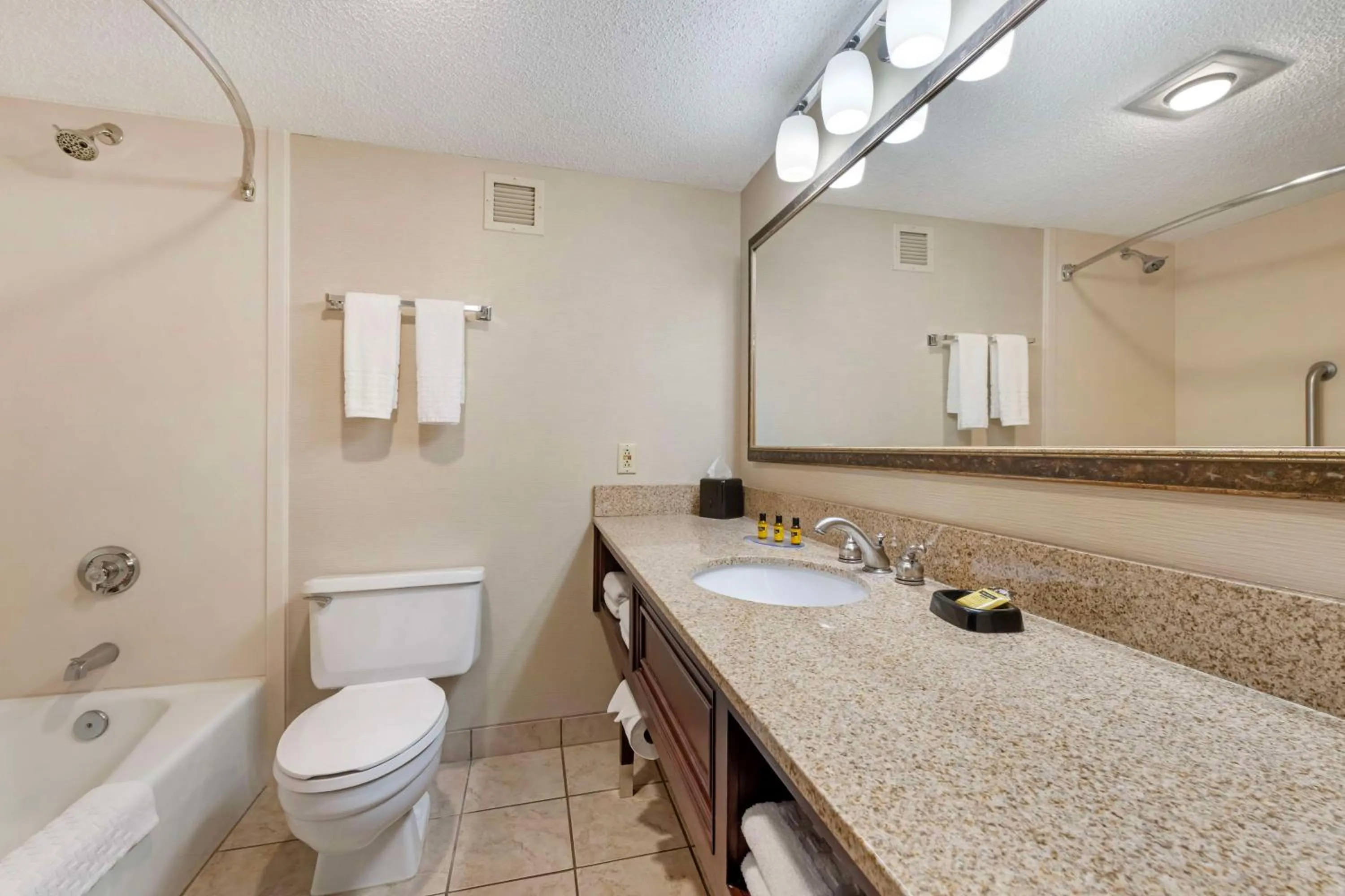 Bathroom in Best Western Plus St. Paul North/Shoreview