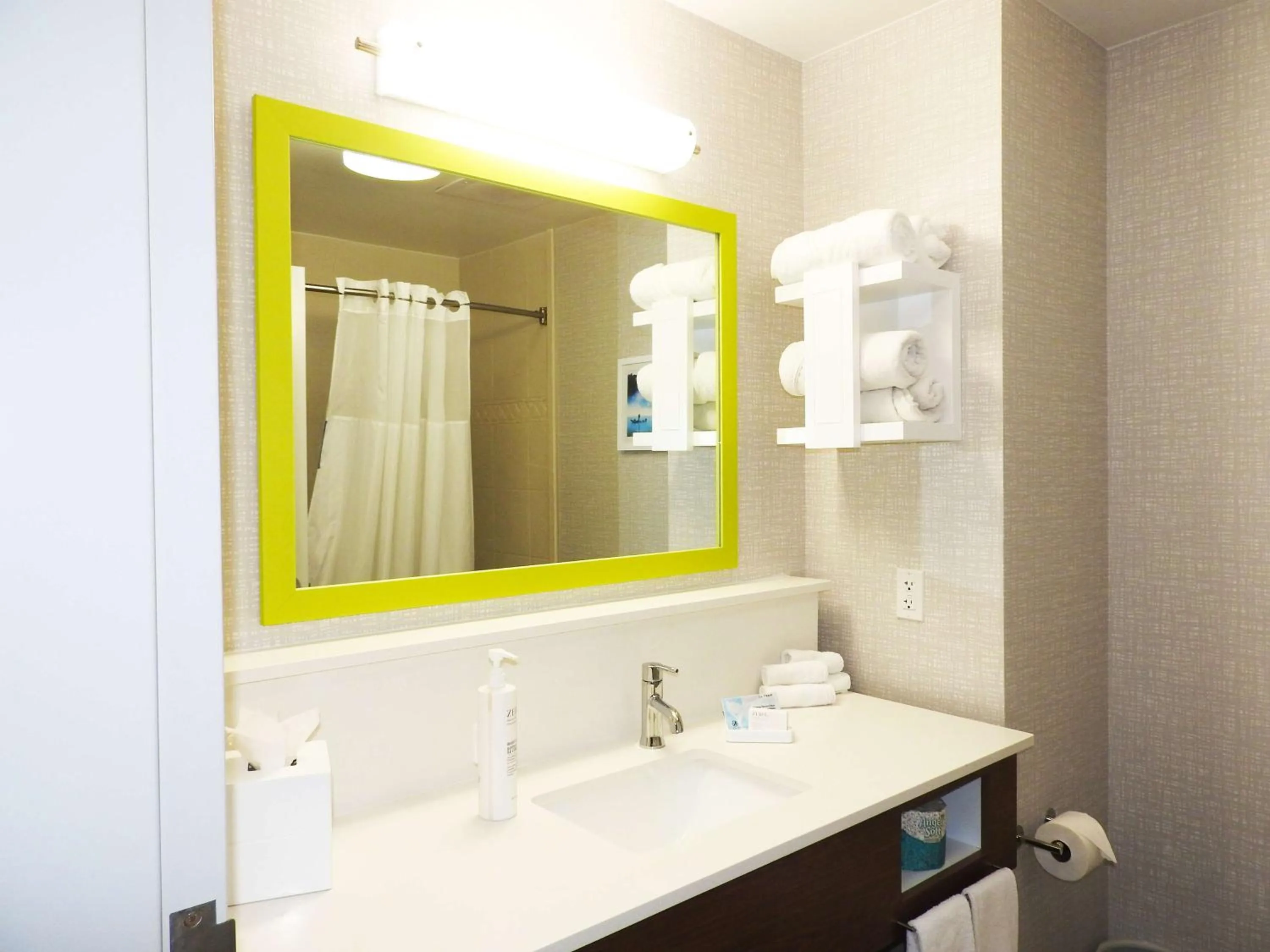 Bathroom in Hampton Inn & Suites Flowery Branch