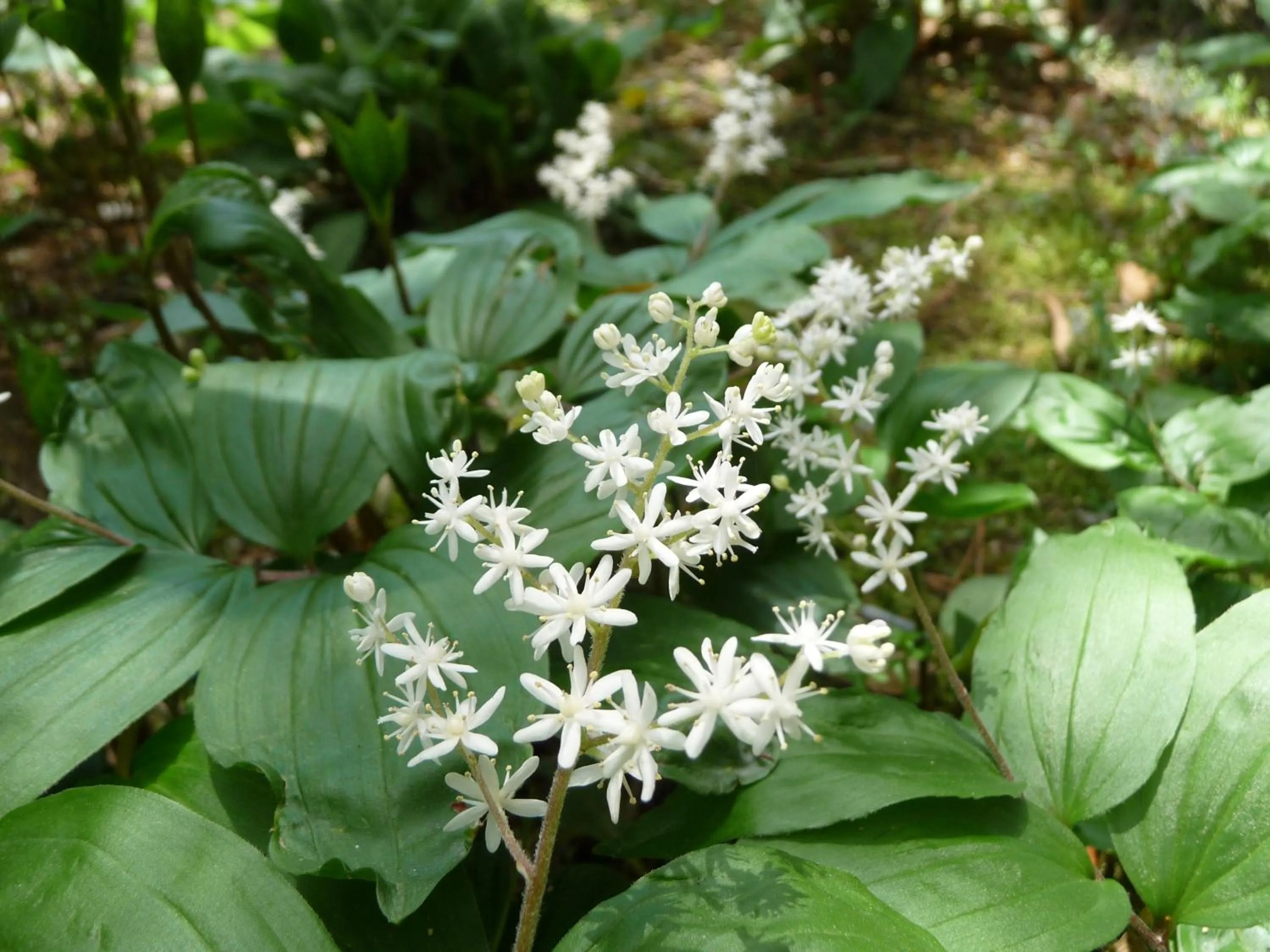 Other in Ryokan Asunaro