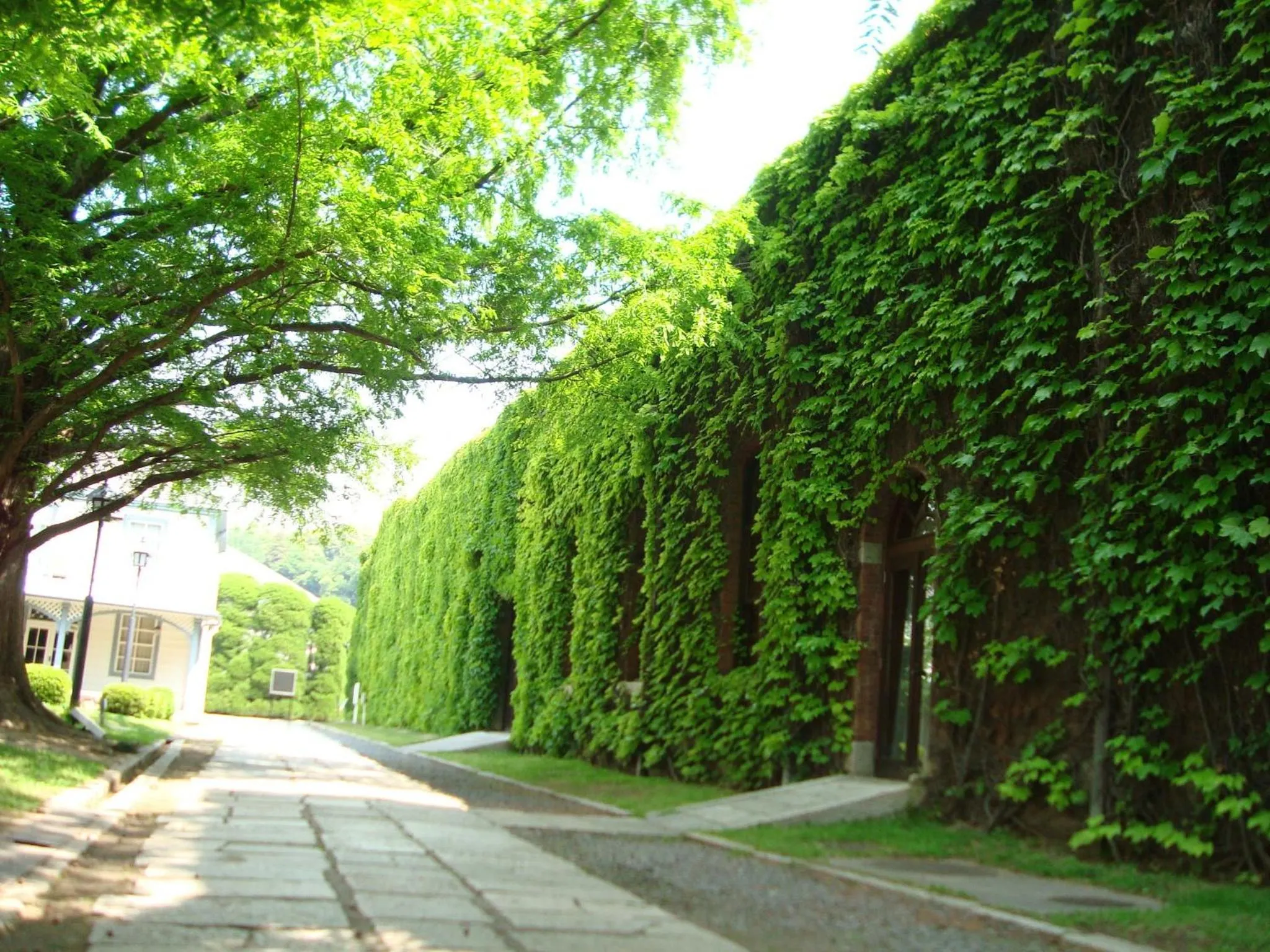Property building in Kurashiki Ivy Square