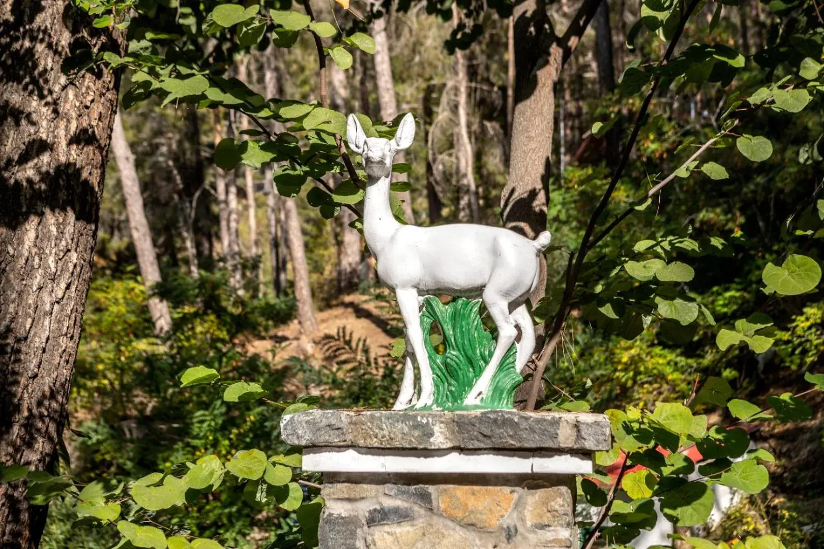Facade/entrance in Forest Park Hotel Facade/entrance in Forest Park Hotel