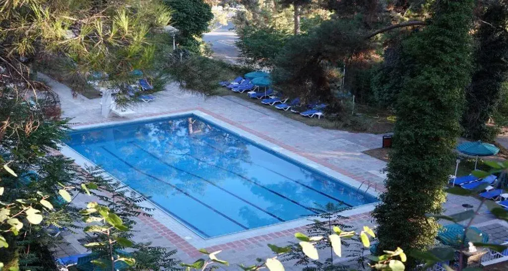 Pool view in Forest Park Hotel Pool view in Forest Park Hotel