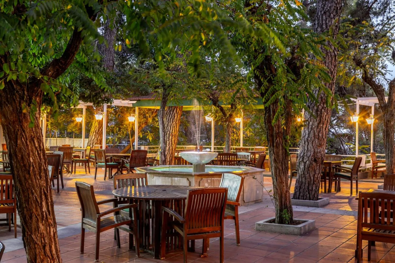 Patio in Forest Park Hotel