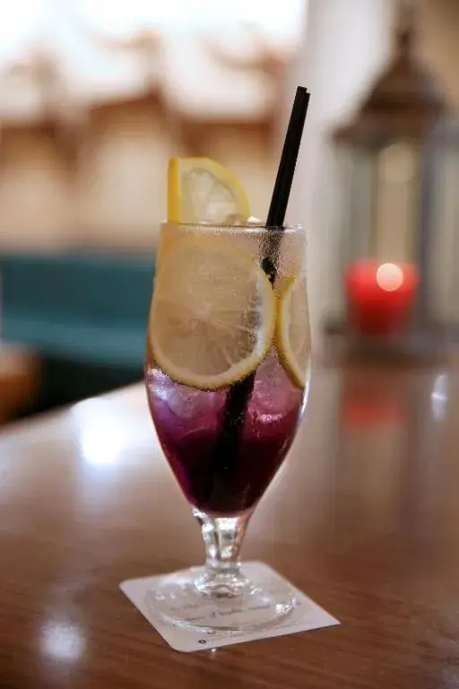 Lounge or bar in Forest Park Hotel Lounge or bar in Forest Park Hotel