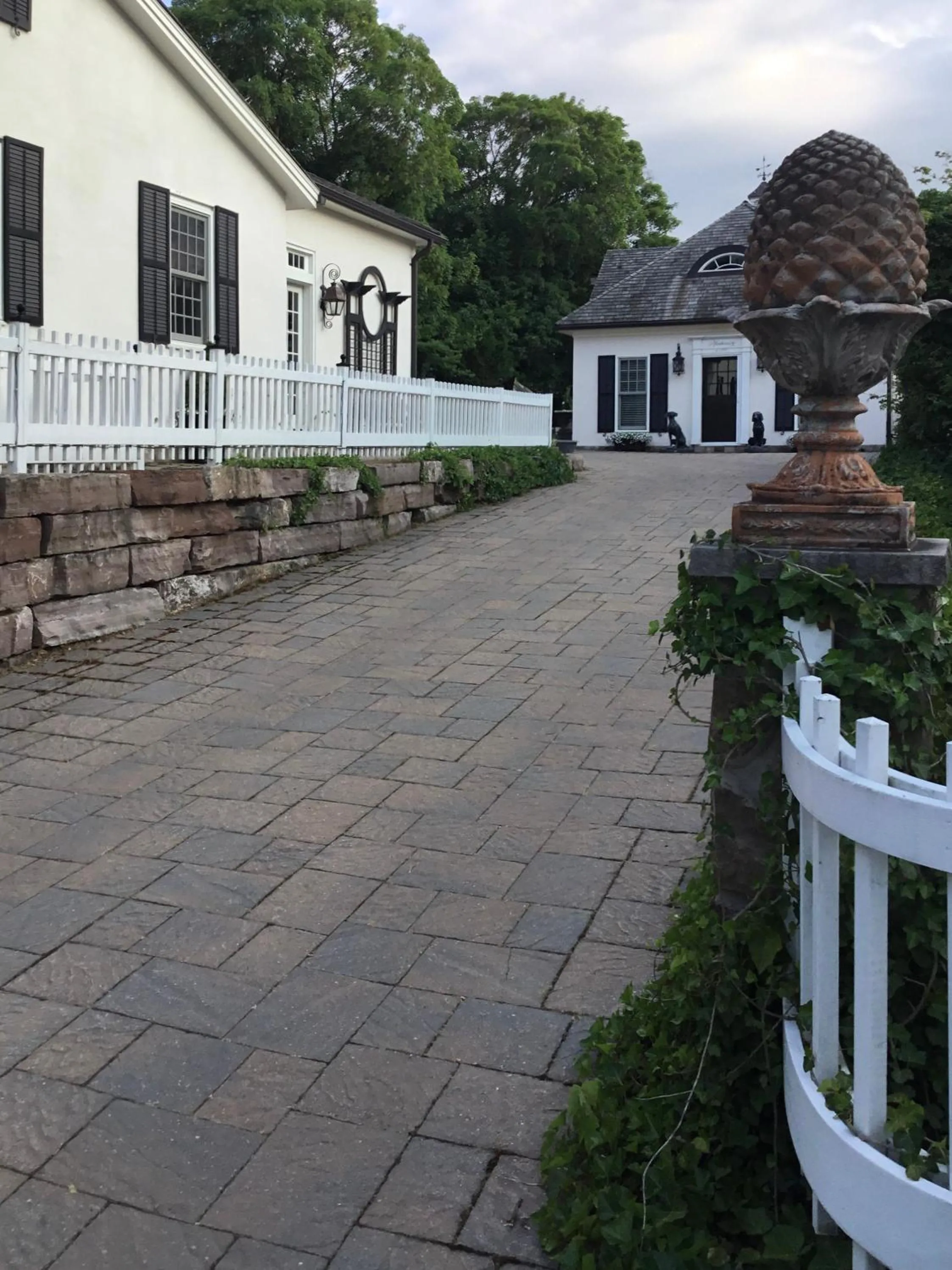 Old Ivy Walk