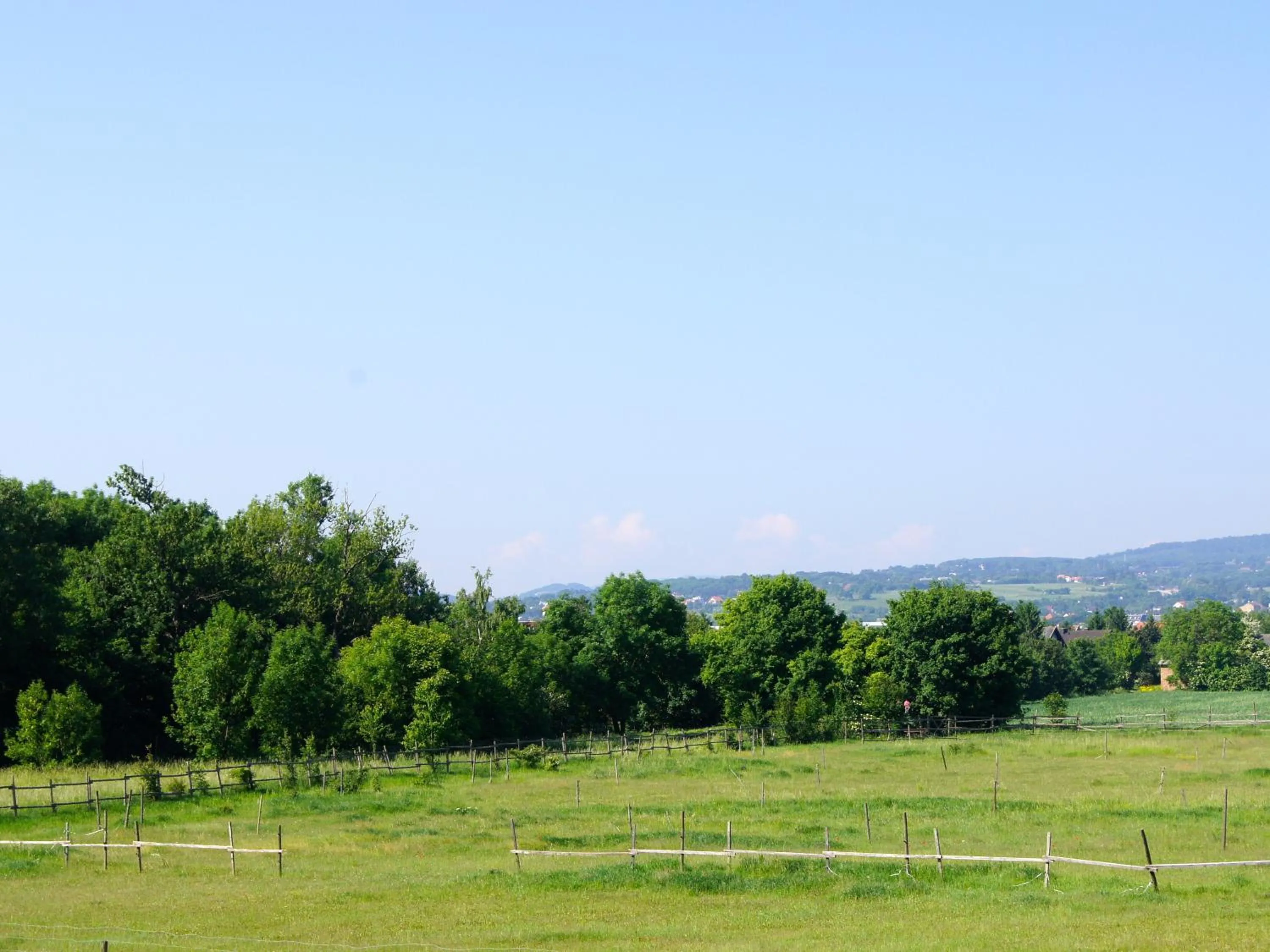 Garden view in Hotel Karl-Wirt