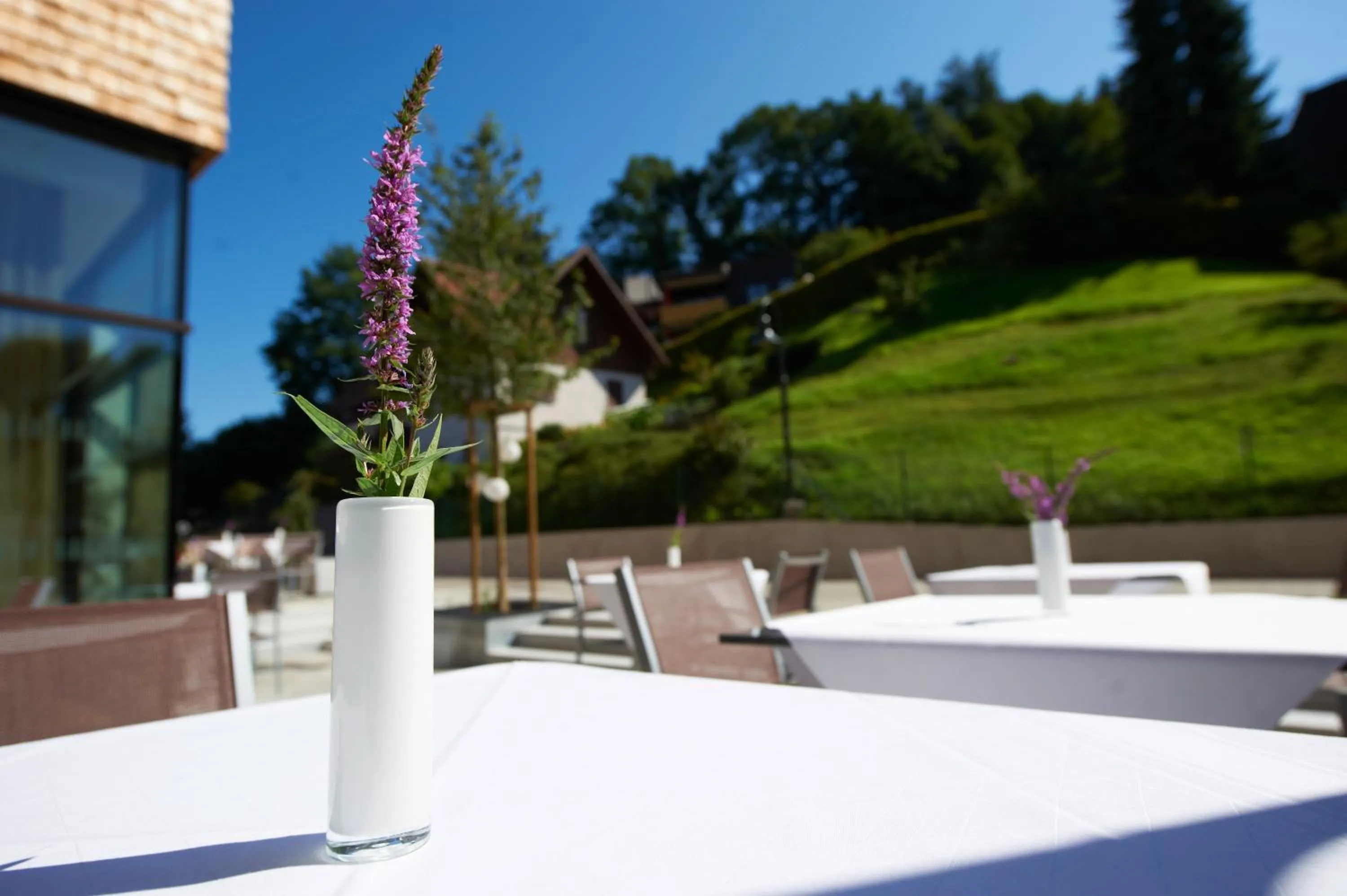 Restaurant/places to eat in Sternen Hotel Wolfurt