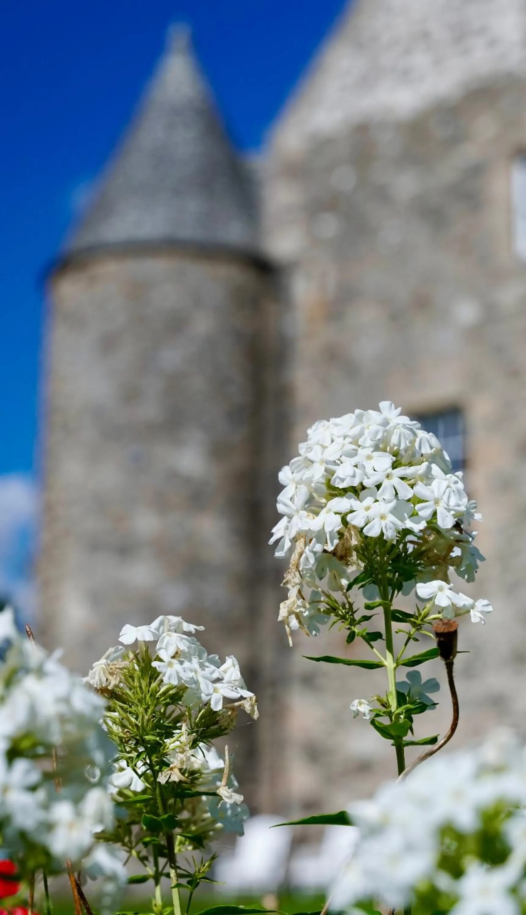 The Lodges @ Barra Castle
