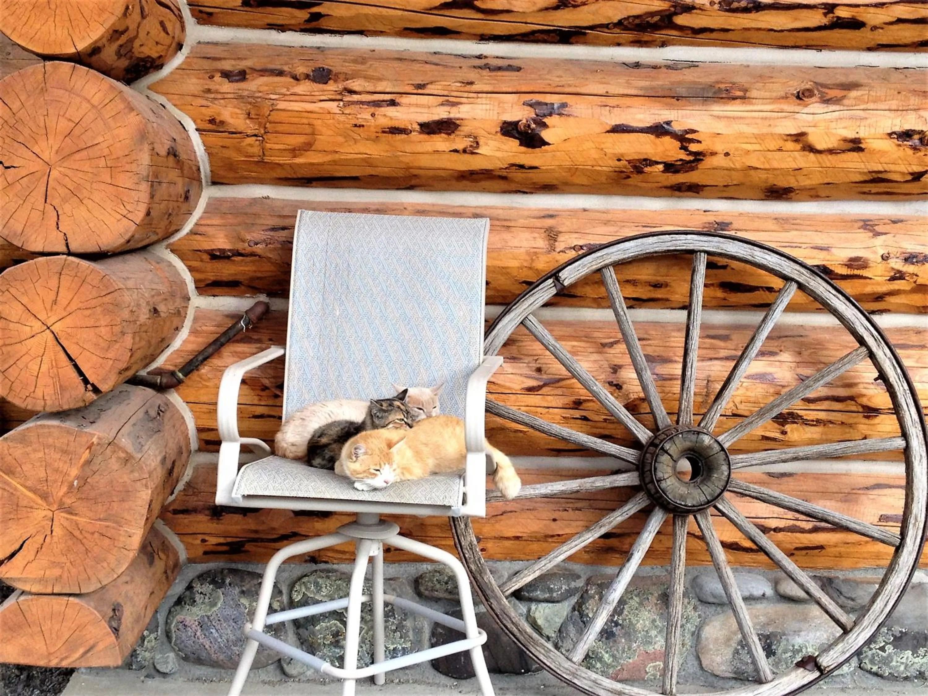 McDonald's Ranch Lodge