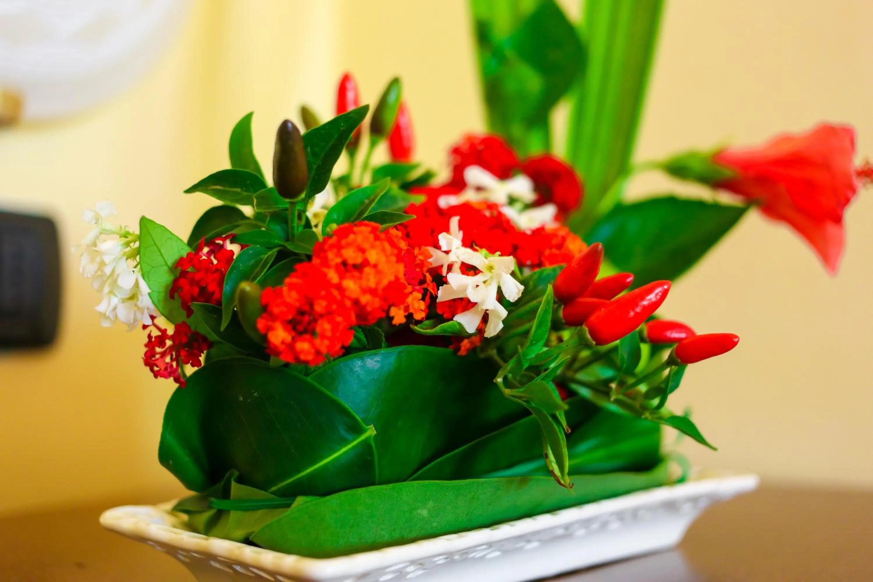 View (from property/room) in Villaggio Hotel Lido San Giuseppe