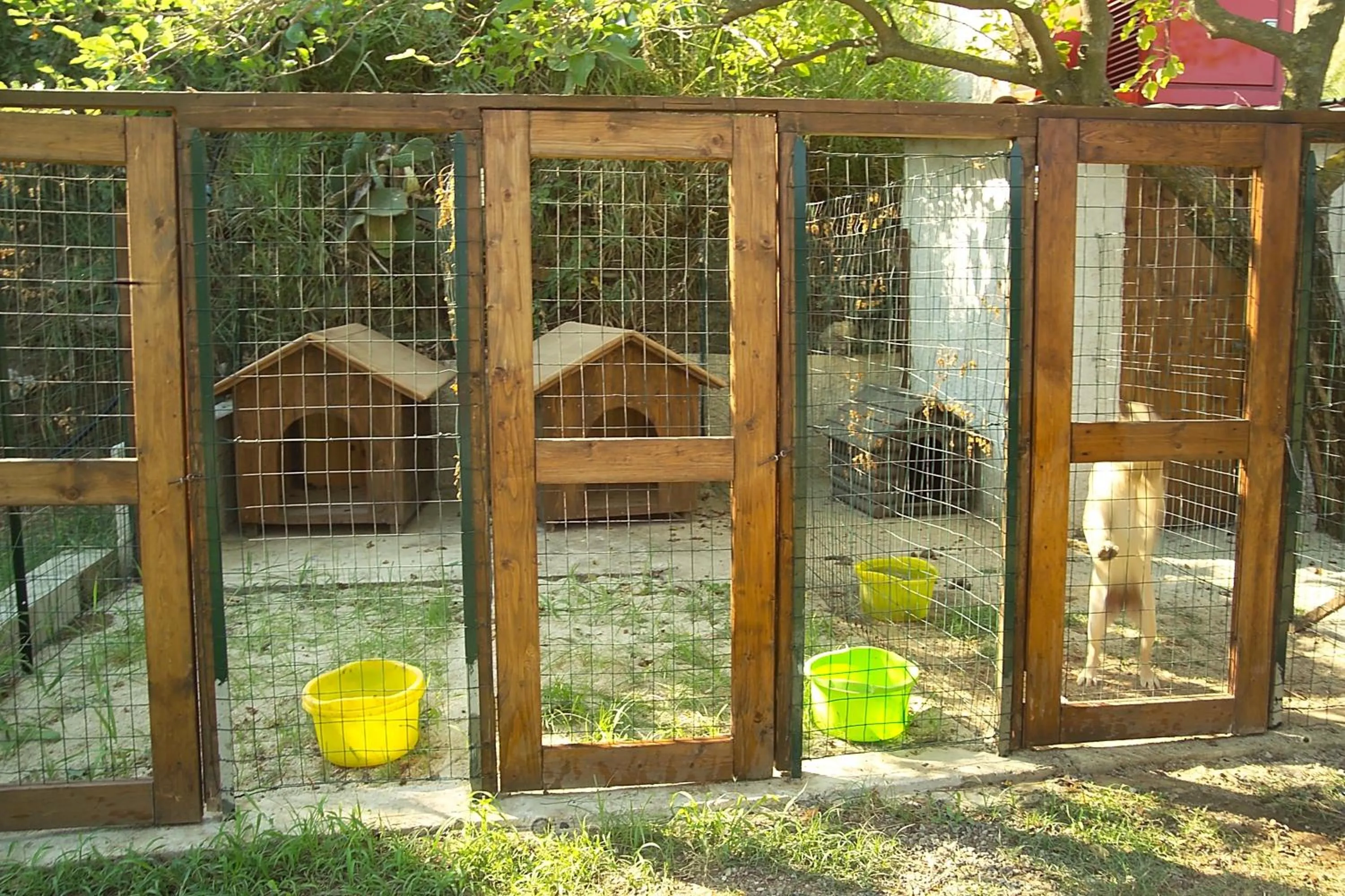 Animals in Villaggio Hotel Lido San Giuseppe