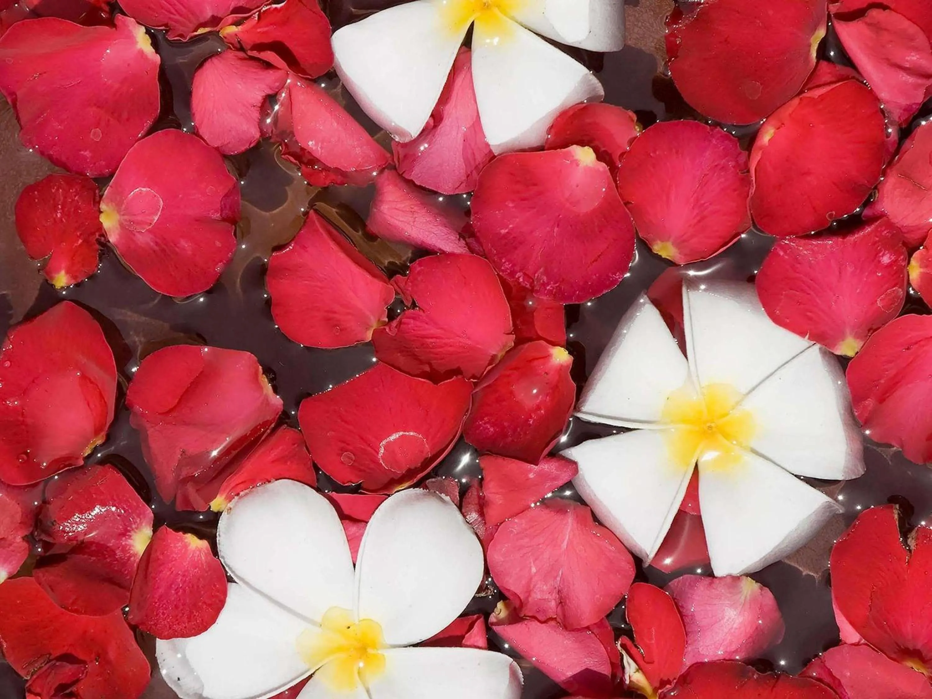 Spa and wellness centre/facilities in Novotel Bali Nusa Dua