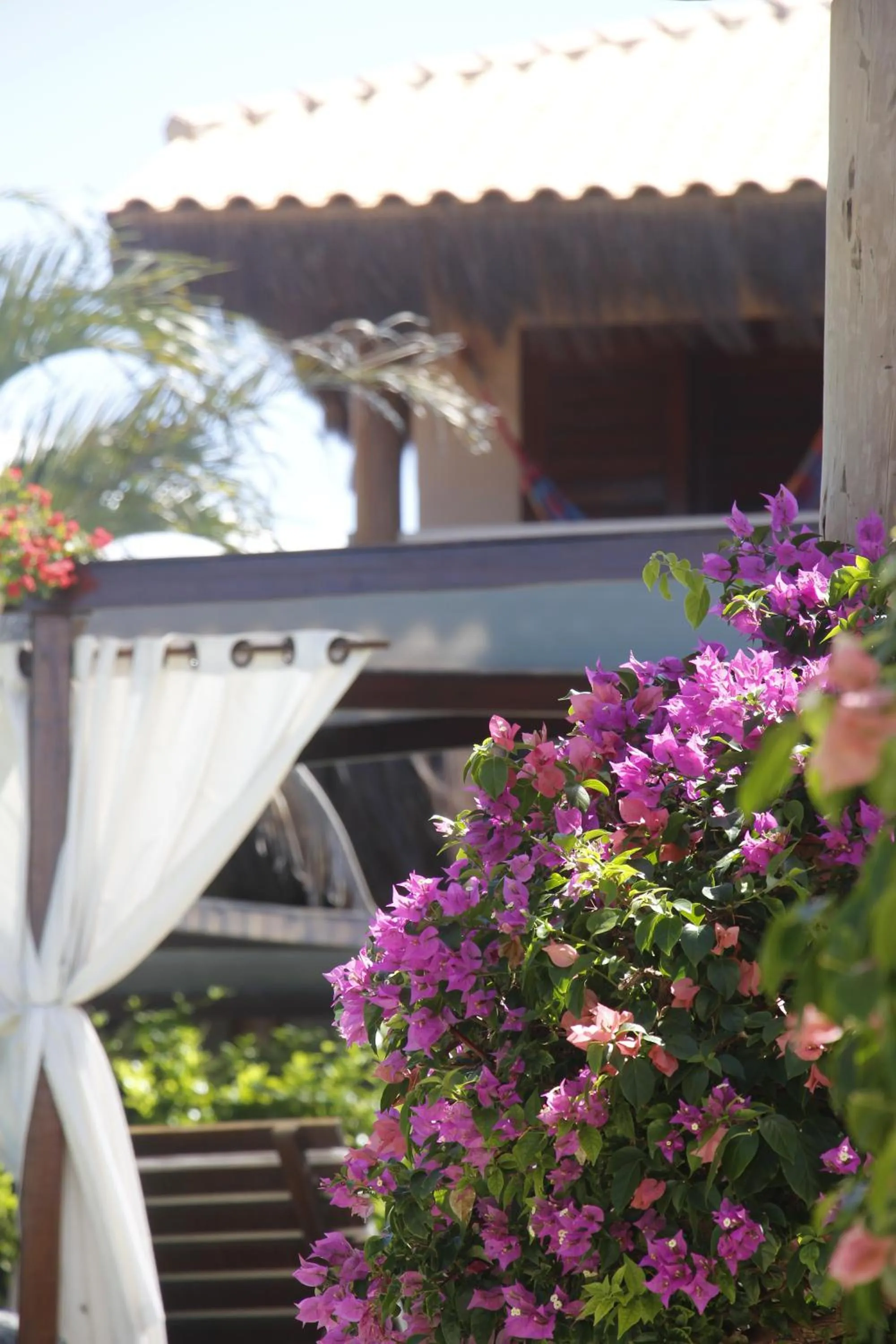 Garden in 0031 Boutique Hotel & Restaurant Cumbuco