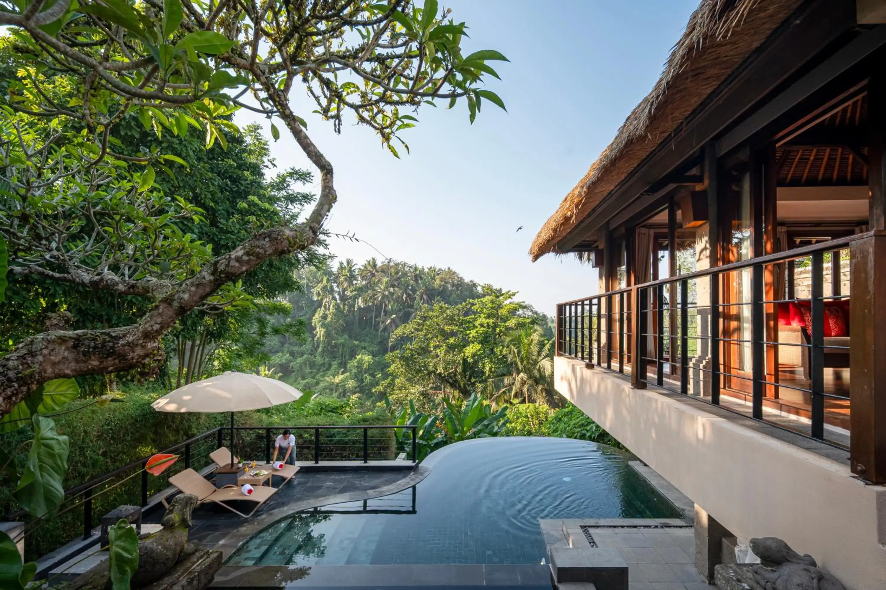 View (from property/room) in Kamandalu Ubud View (from property/room) in Kamandalu Ubud