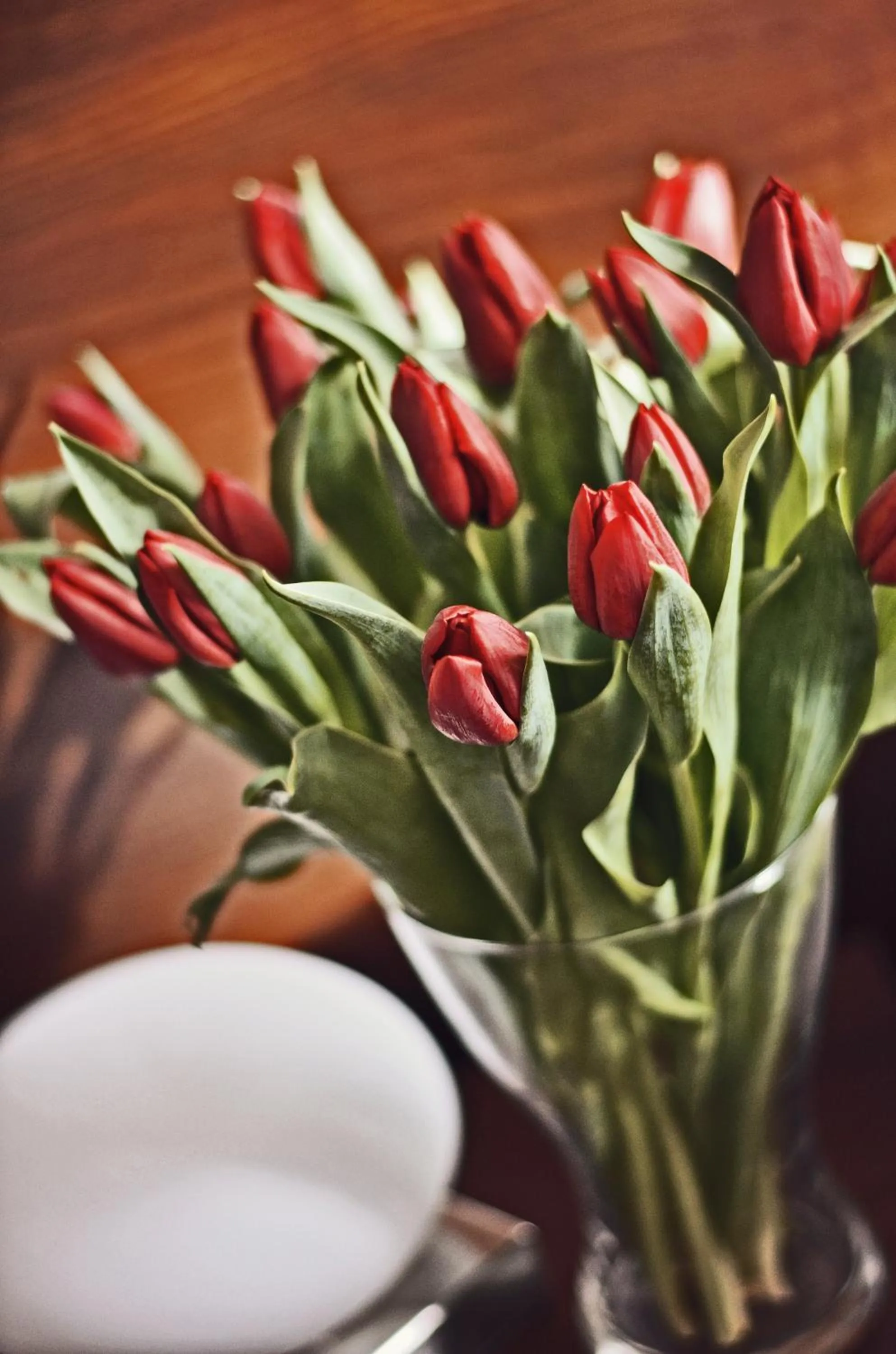 Decorative detail in Hotel U Hradu