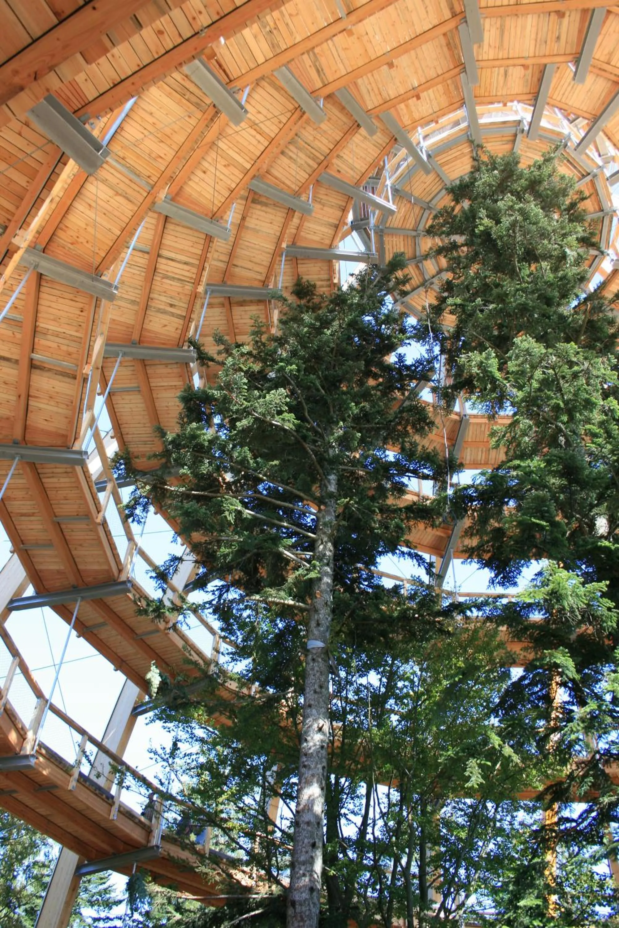 Other in Hotel Landgasthof Hohenauer Hof