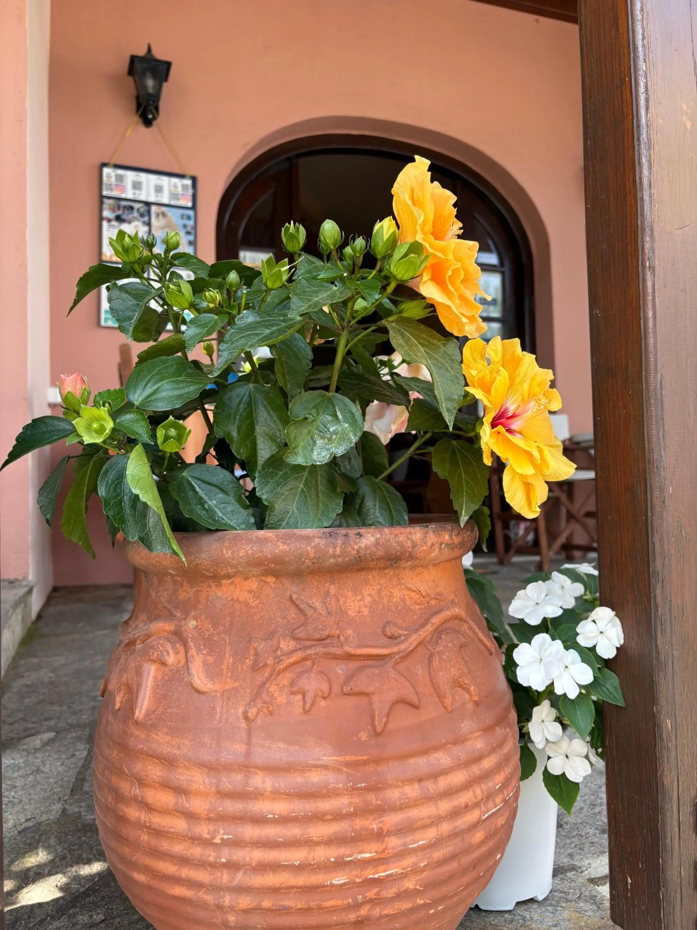 Villa Sunray