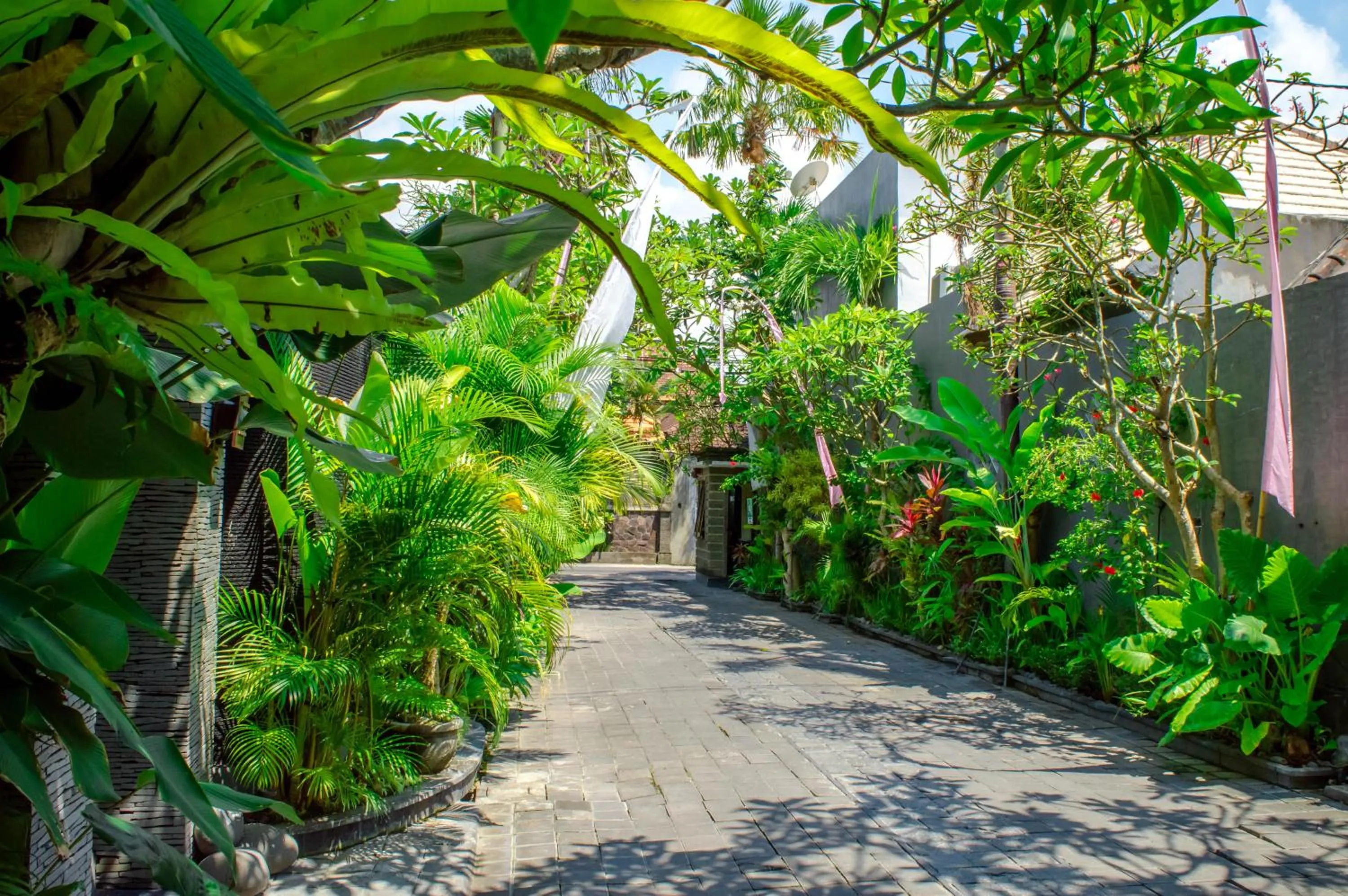 Facade/entrance in The Bali Dream Villa Seminyak