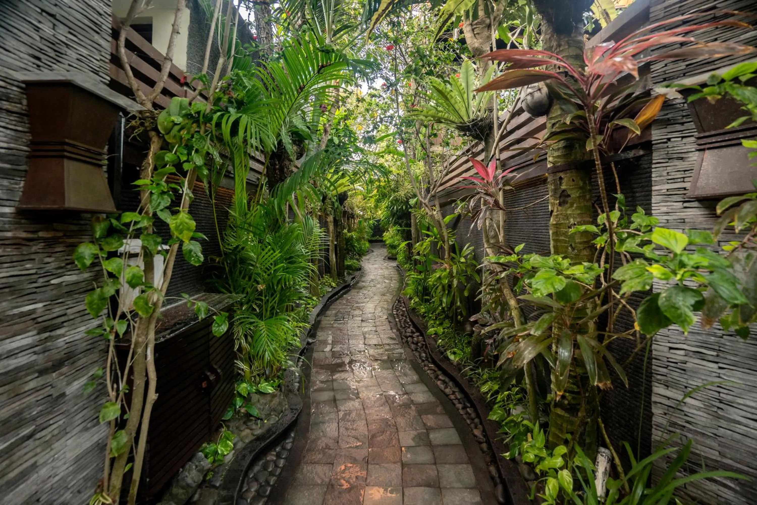 Garden in The Bali Dream Villa Seminyak