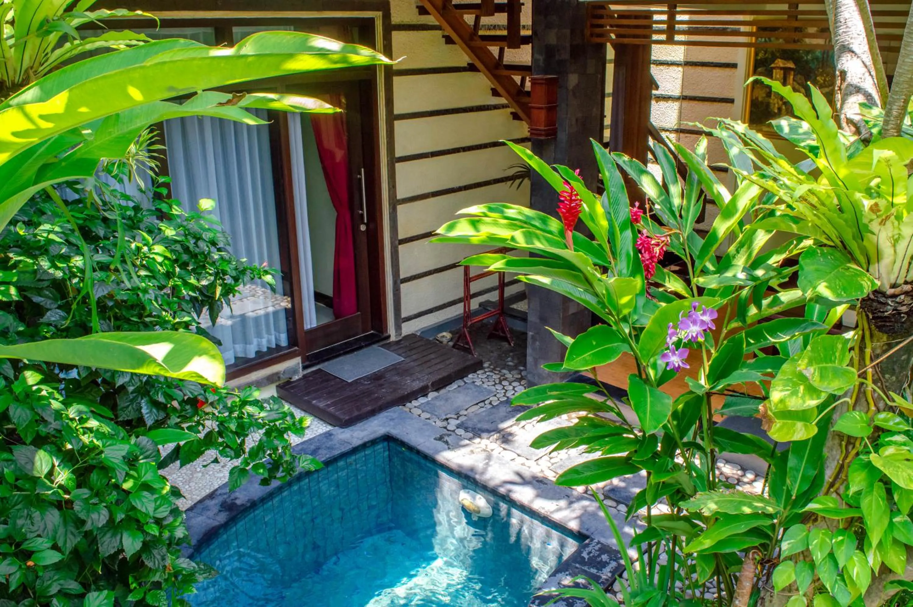 Garden in The Bali Dream Villa Seminyak