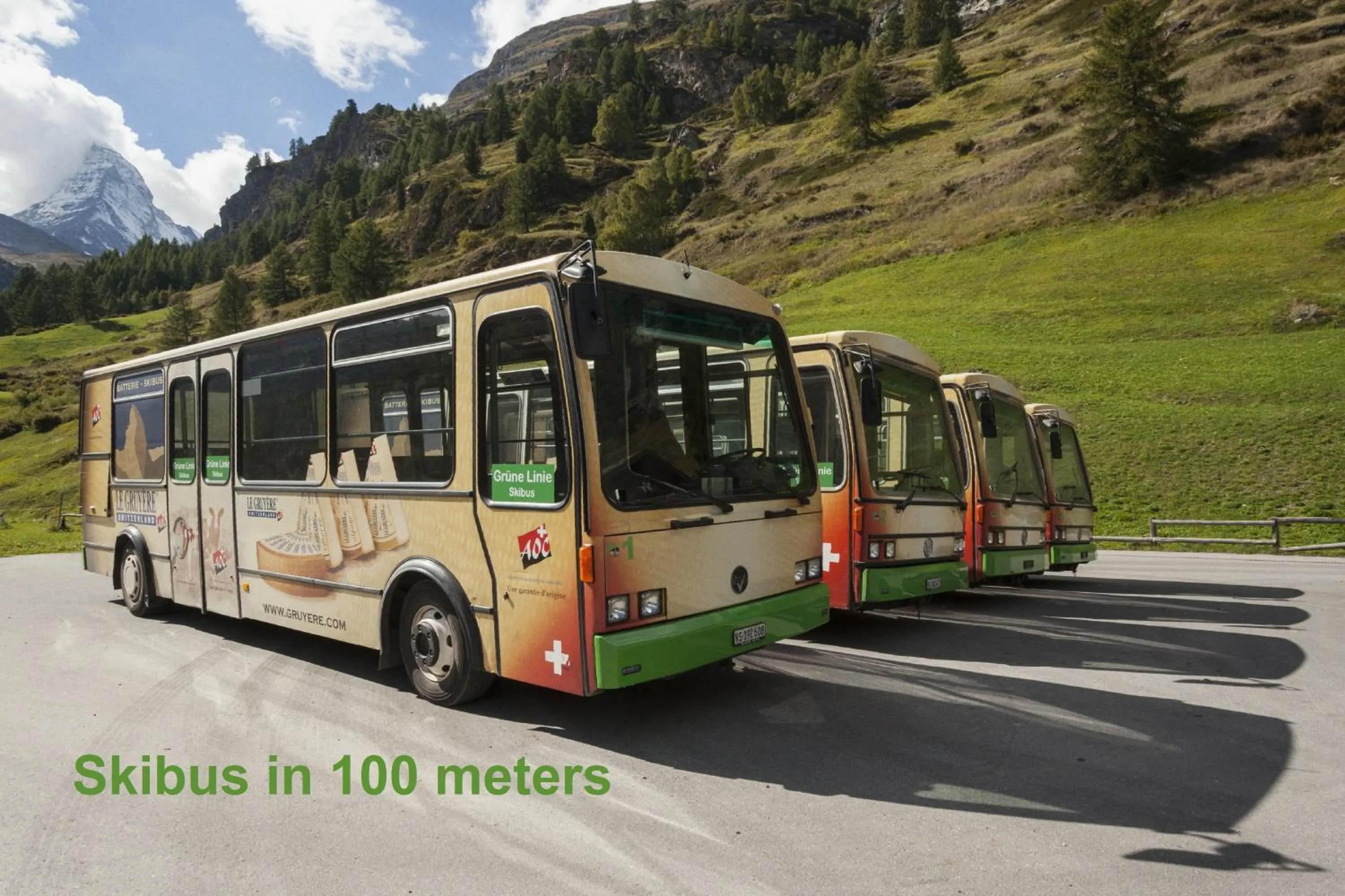 Area and facilities in Hotel Aristella Swissflair