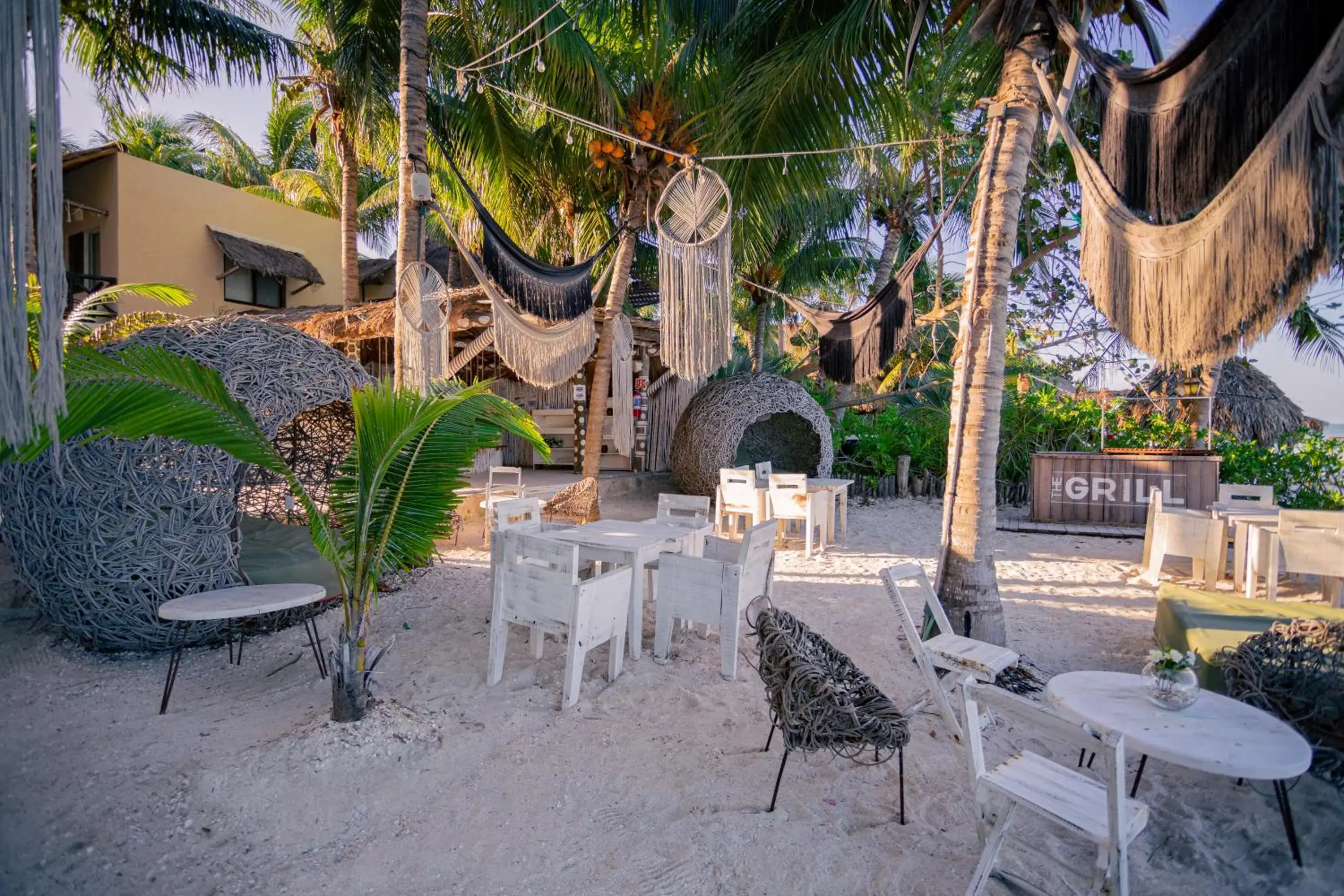 Restaurant/places to eat in Holbox Dream Beachfront Hotel Restaurant/places to eat in Holbox Dream Beachfront Hotel