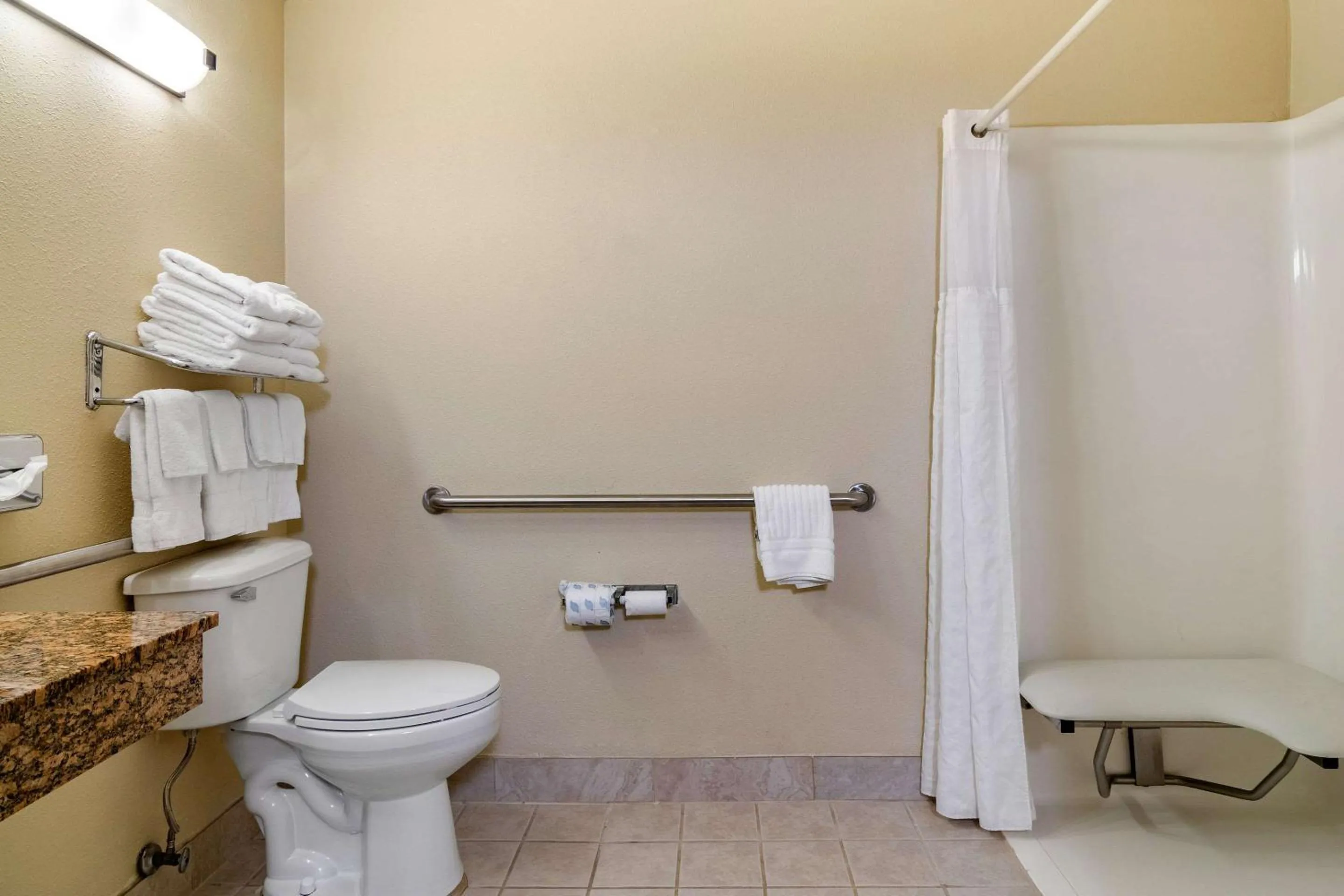 Bathroom in Comfort Inn & Suites Suwanee - Sugarloaf