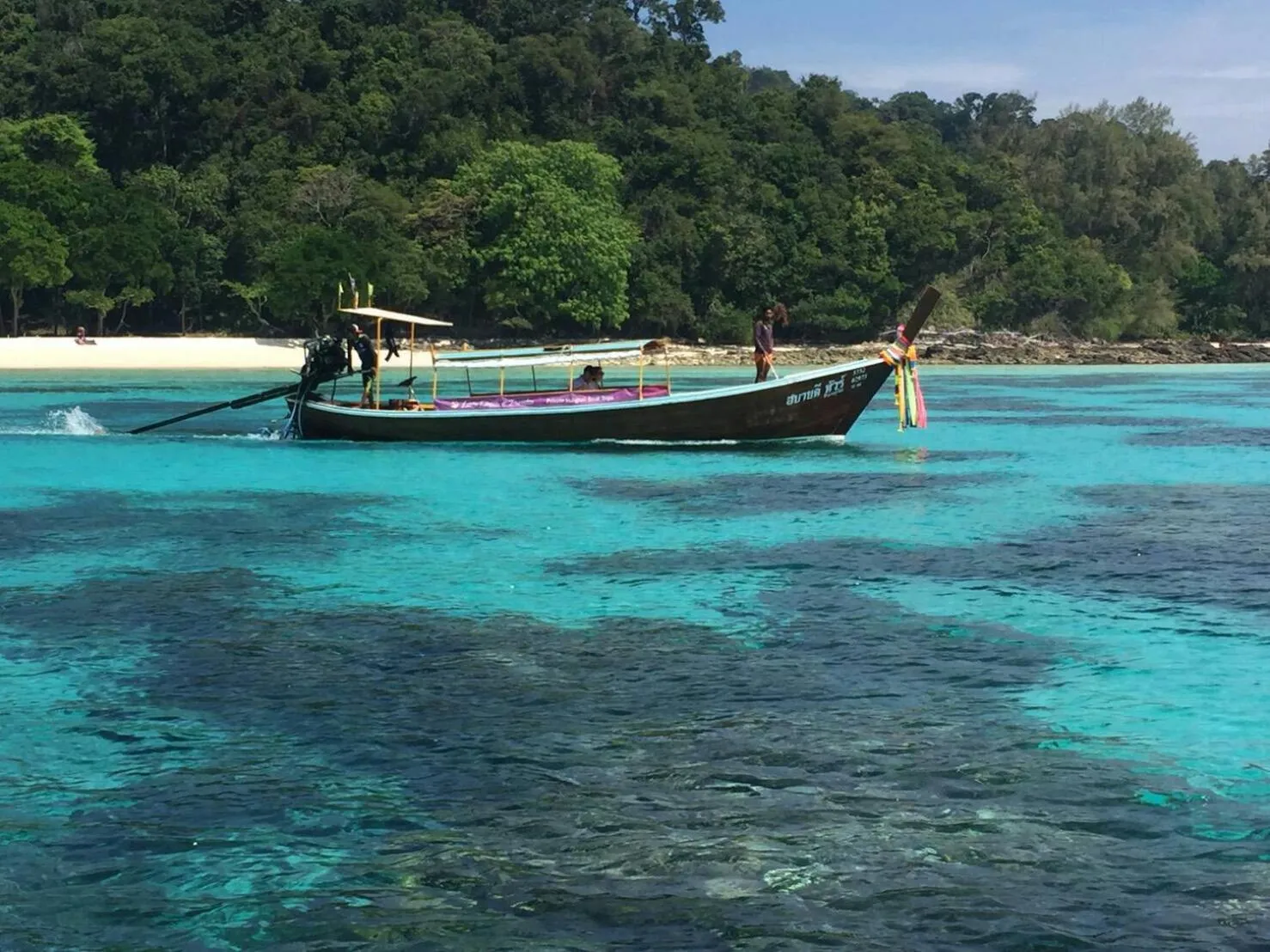 Beautiful Flower Resort