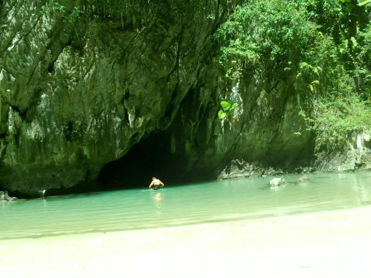 Beautiful Flower Resort