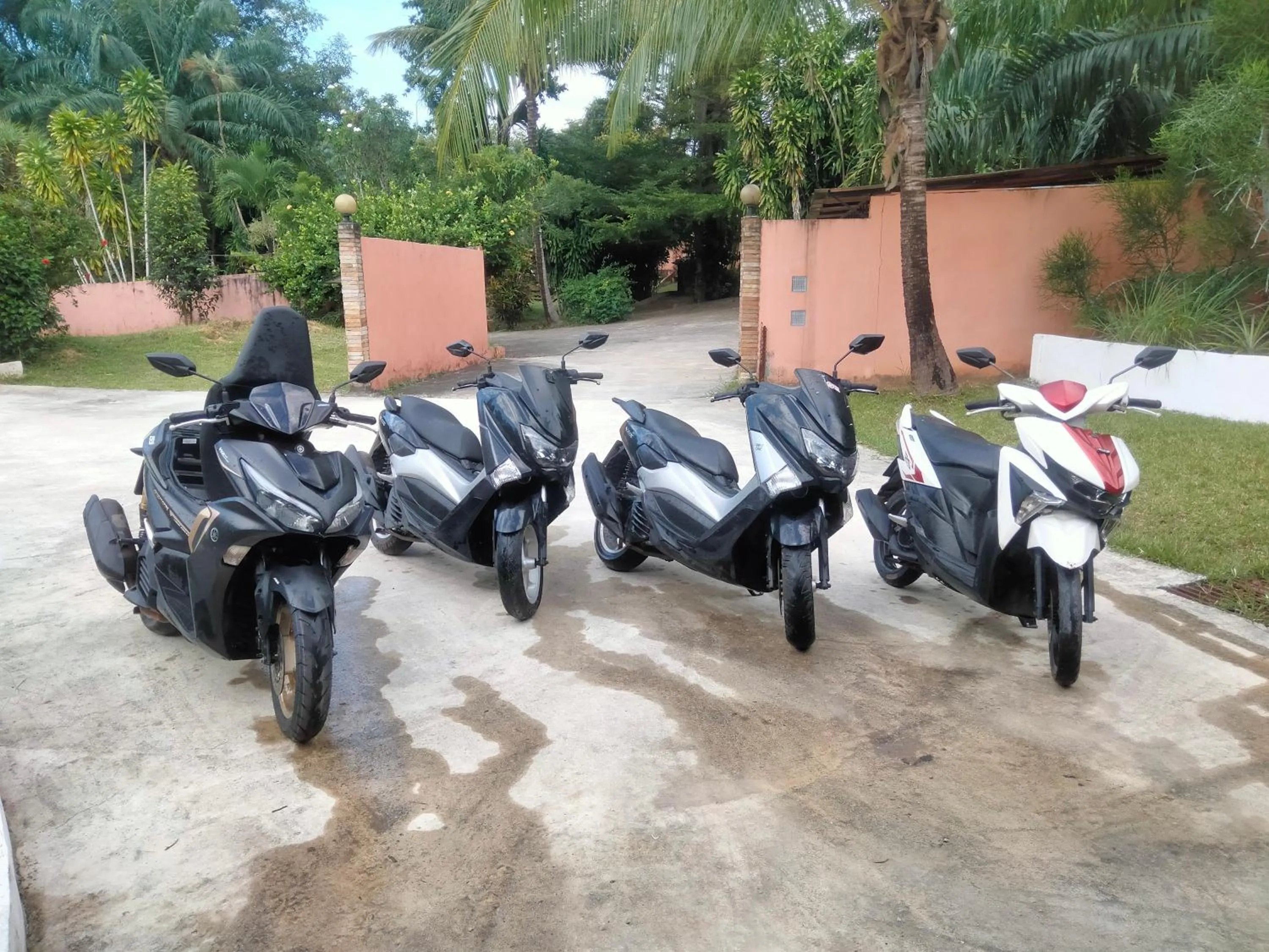 Beautiful Flower Resort