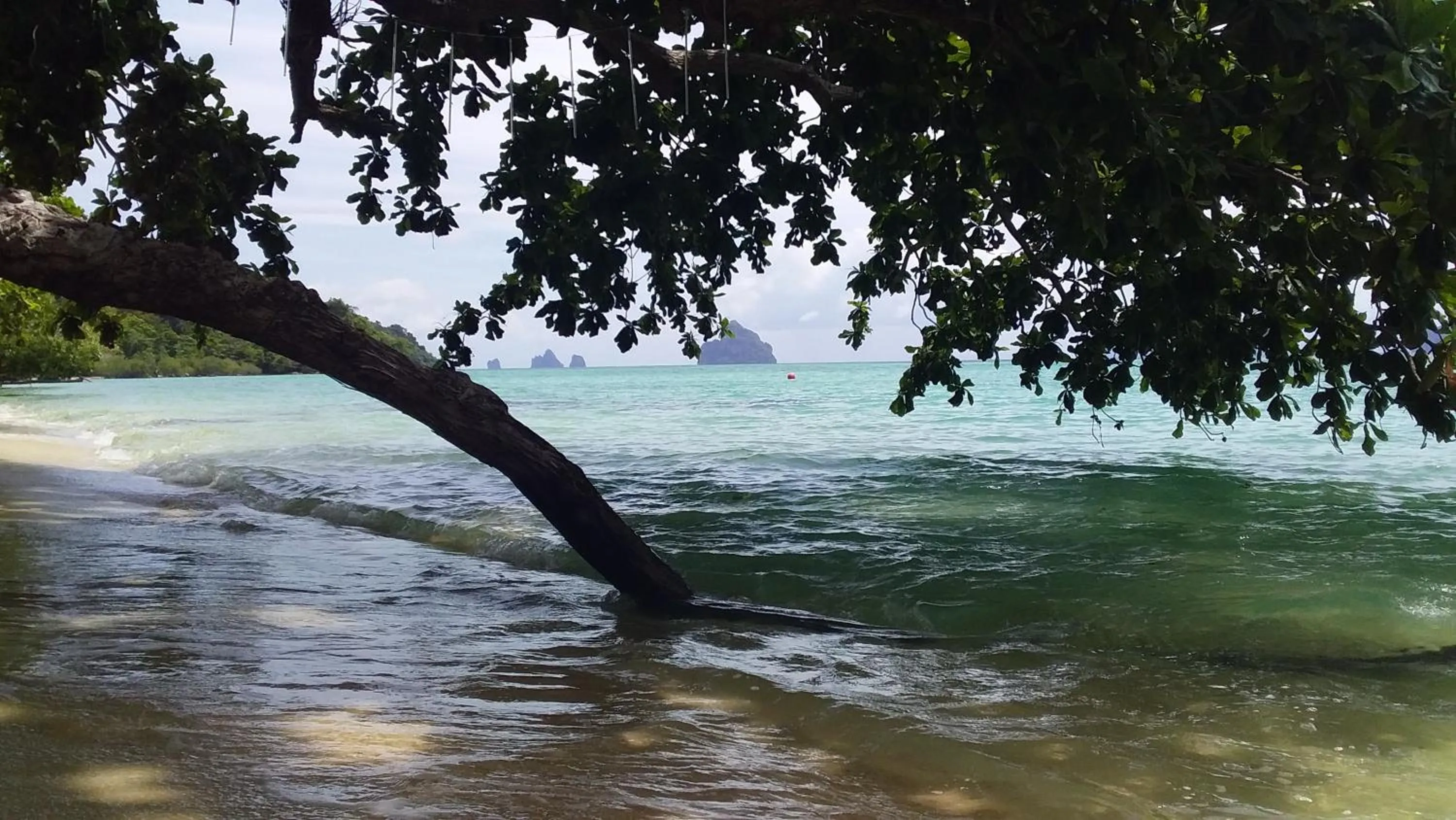 Beautiful Flower Resort