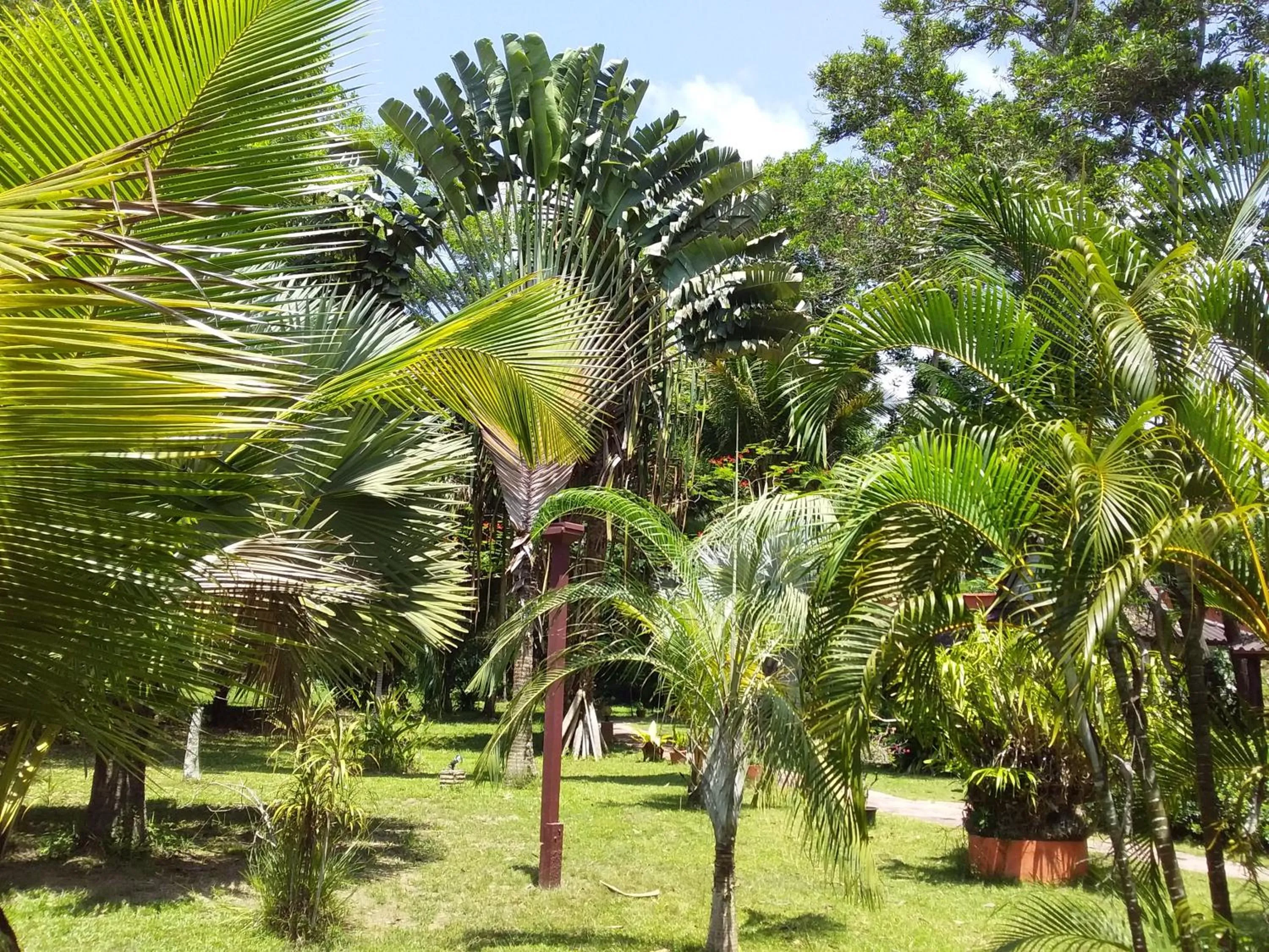 Beautiful Flower Resort