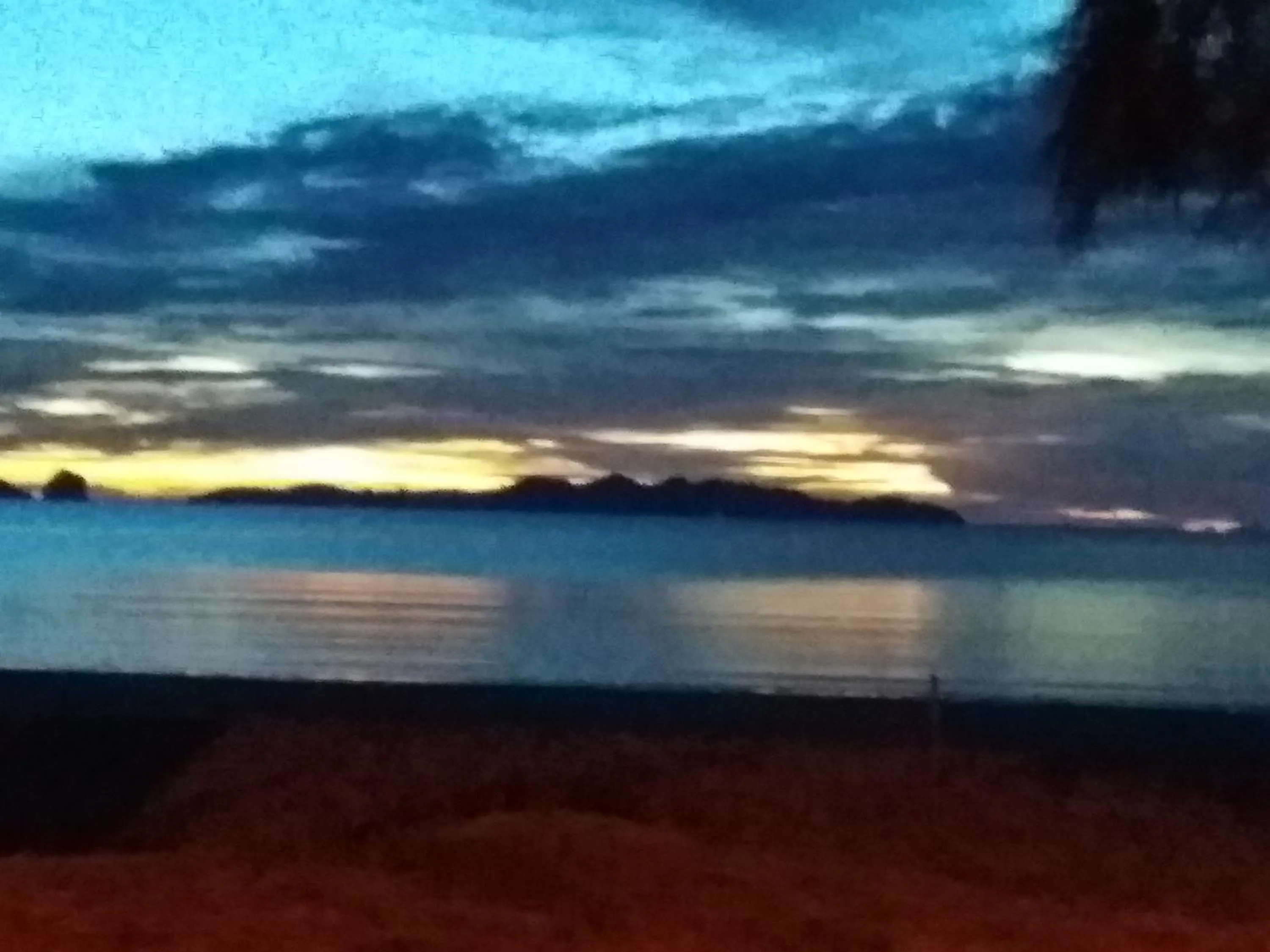 Beautiful Flower Resort