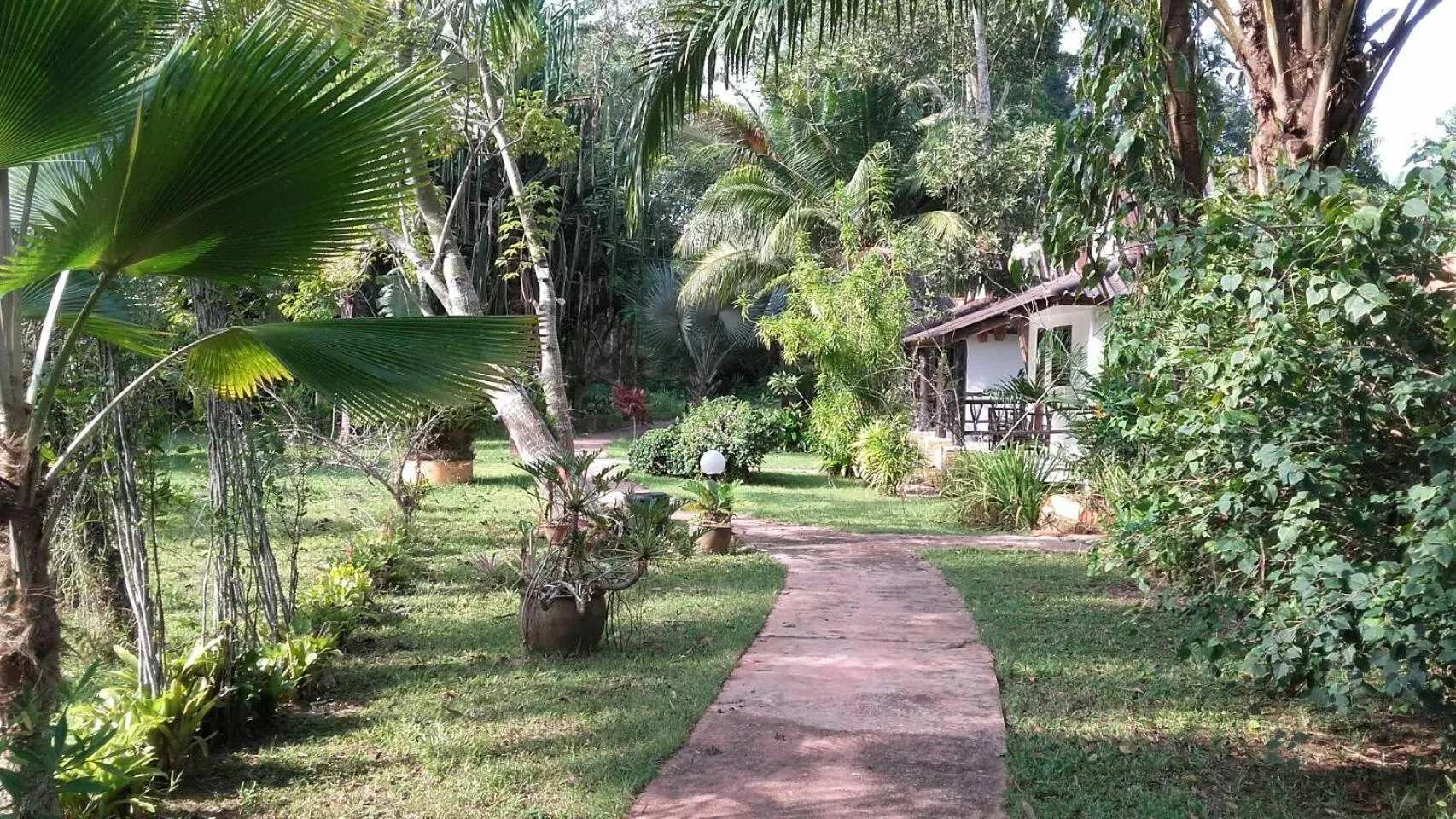 Beautiful Flower Resort