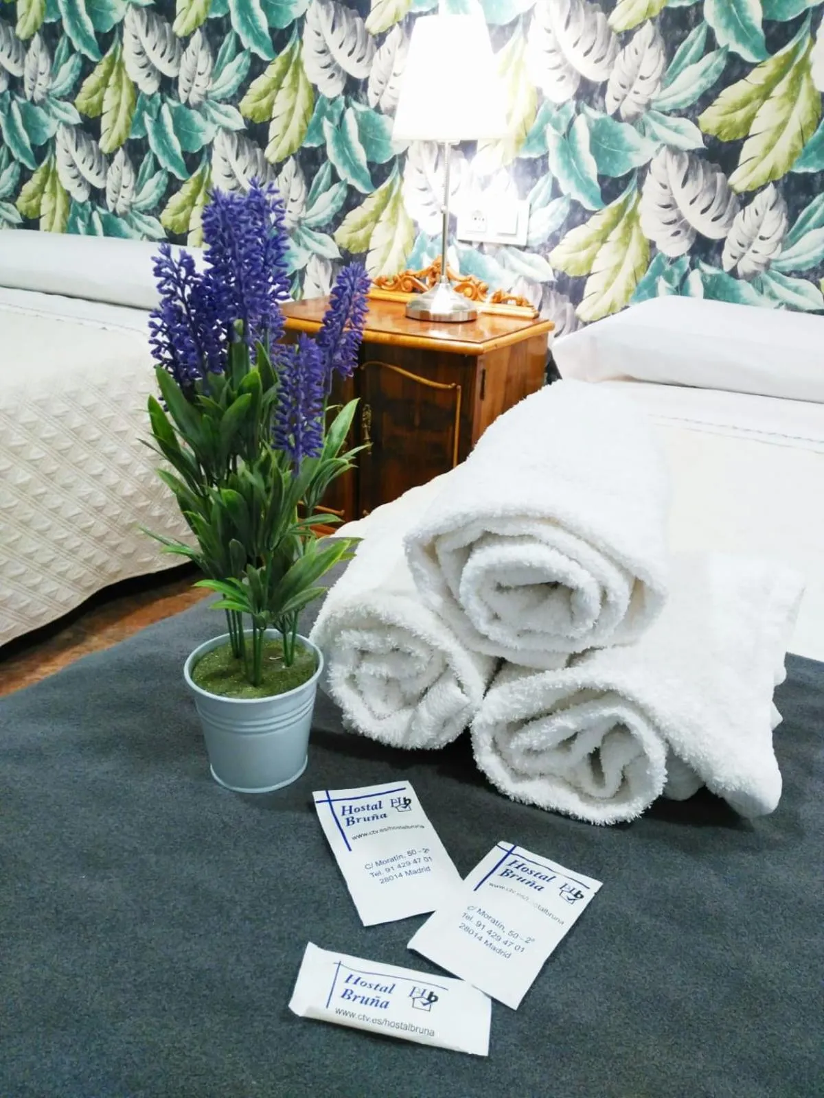 Decorative detail, Bed in Hostal Bruña Paseo del Prado