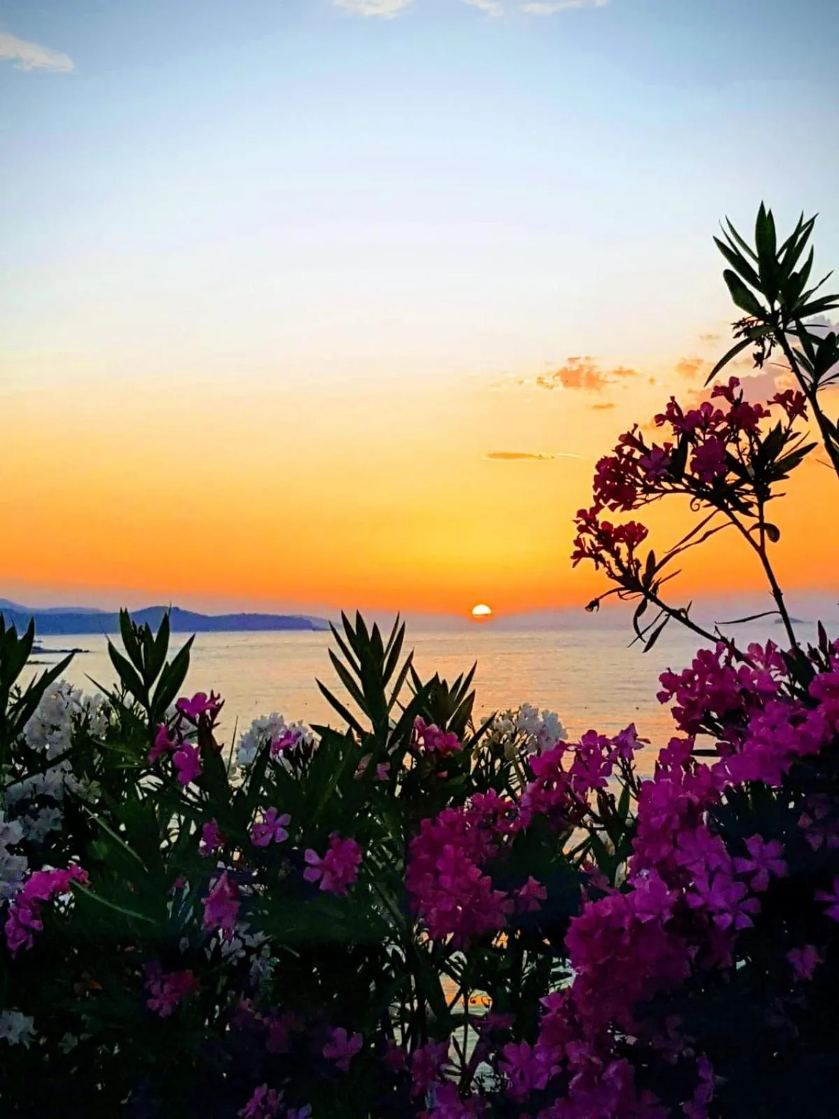 Sea's Villa