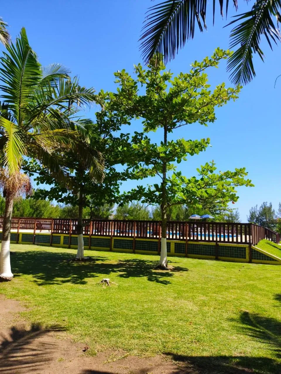 Swimming pool in Ravena Cassino Hotel